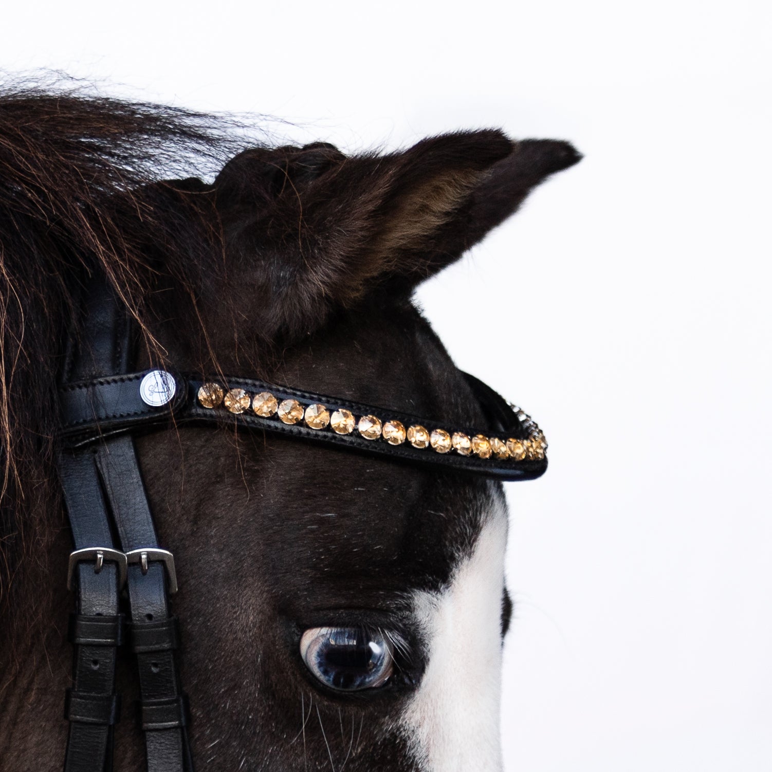 Iddy Biddy Bitless bridle (Lumi Pony) Clearance - Lumiere Equestrian