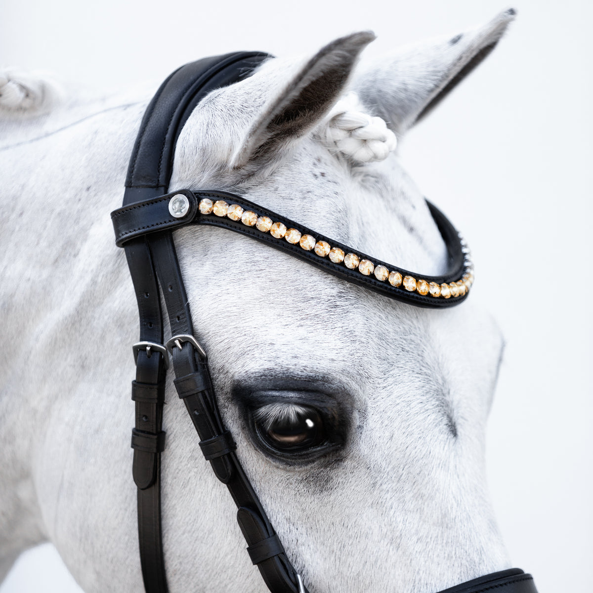 Iddy Biddy browband (Lumi Pony) - Lumiere Equestrian