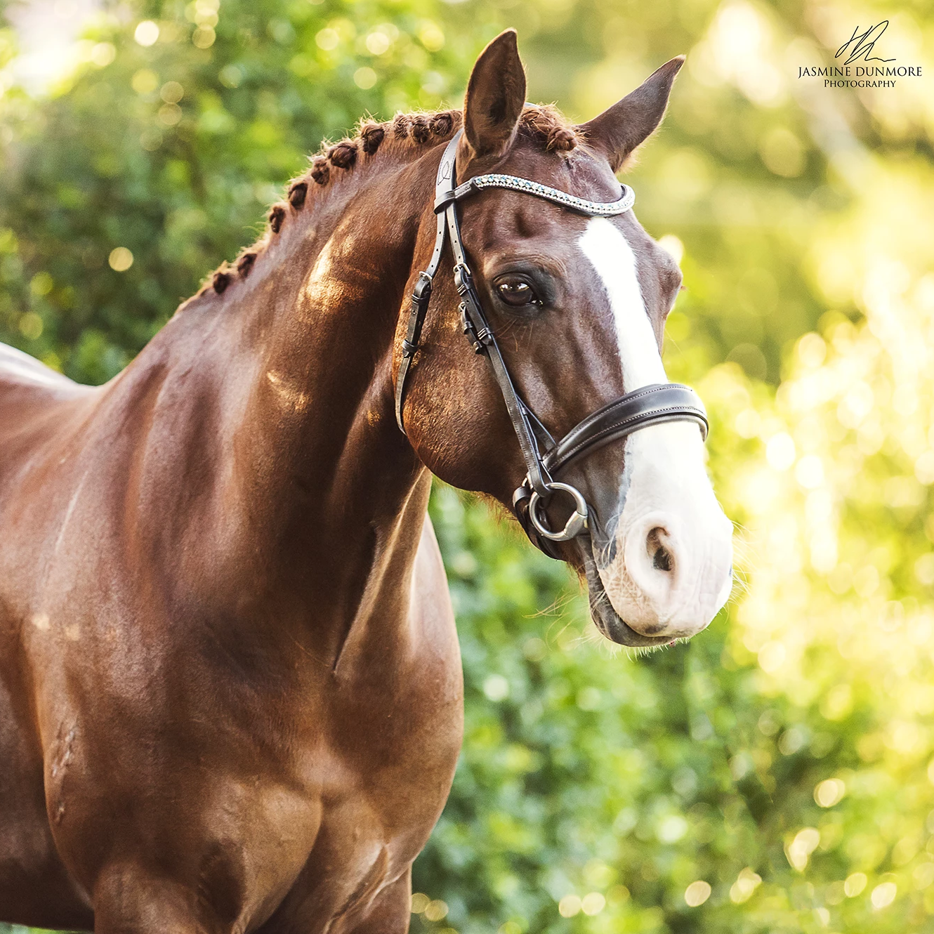 'Anastasia' leather bridle (convertible) - Lumiere Equestrian