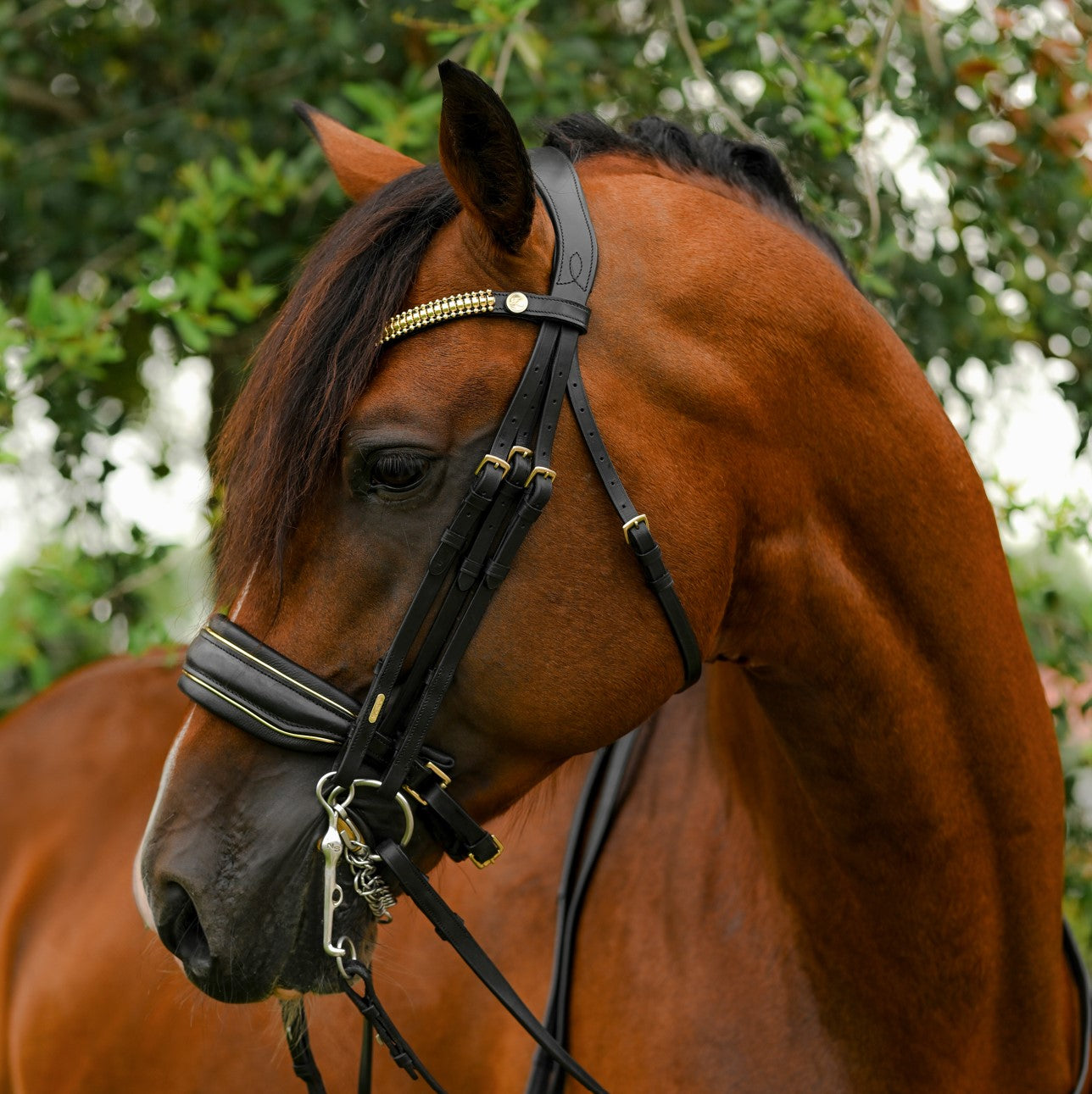 Delta bridle (double) - Lumiere Equestrian