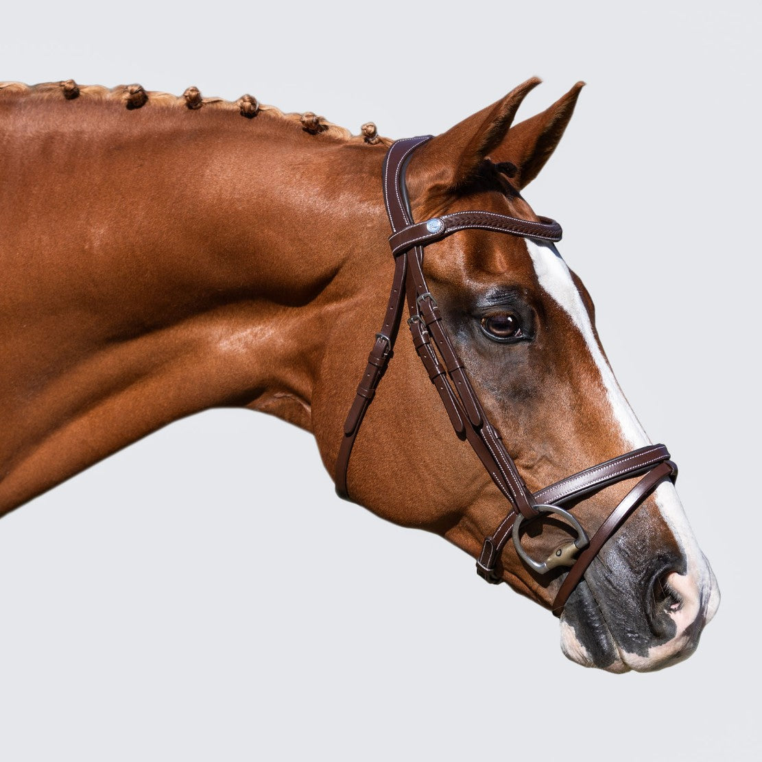 Delaney bridle - Lumiere Equestrian