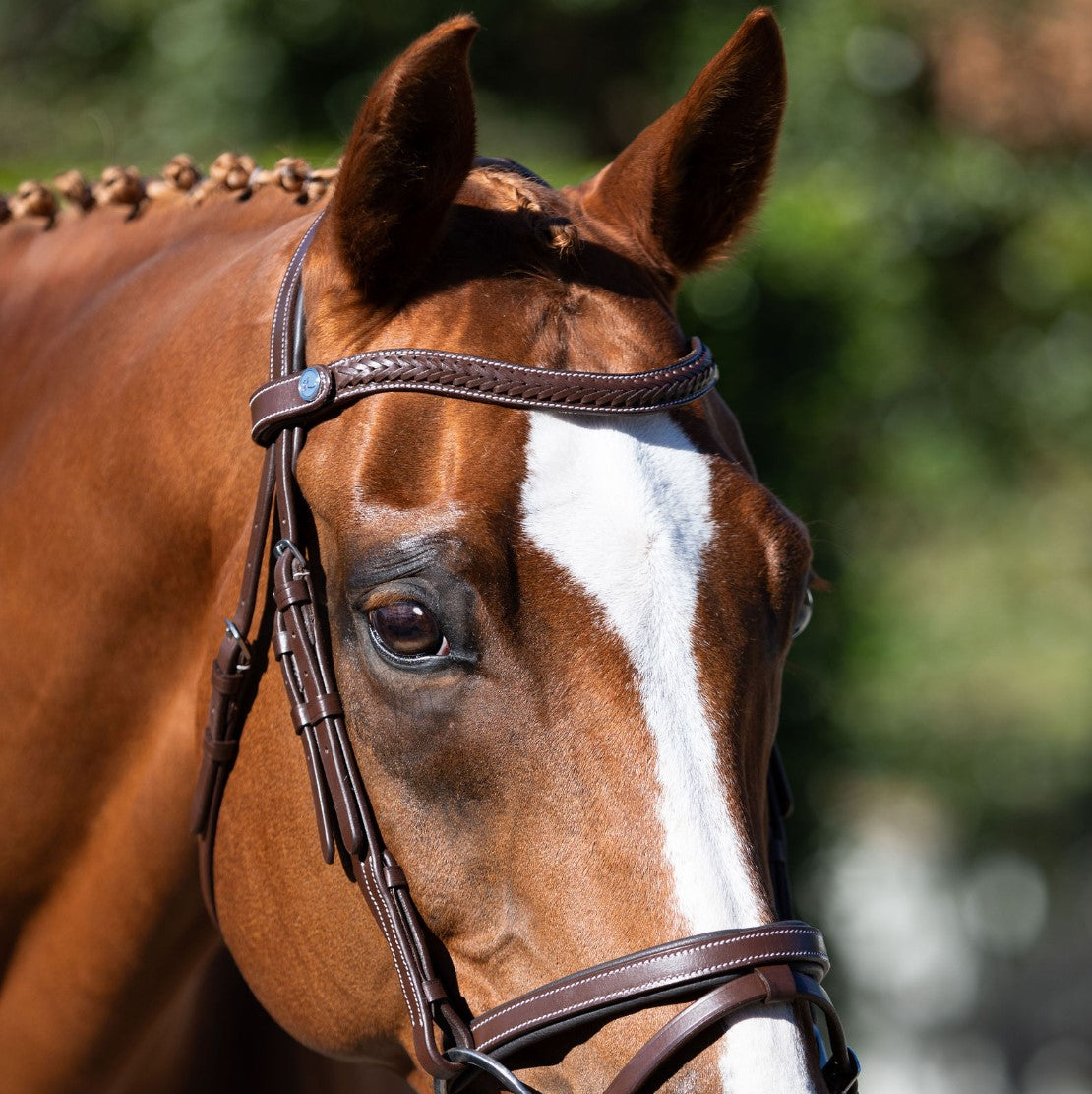 Delaney bridle - Lumiere Equestrian