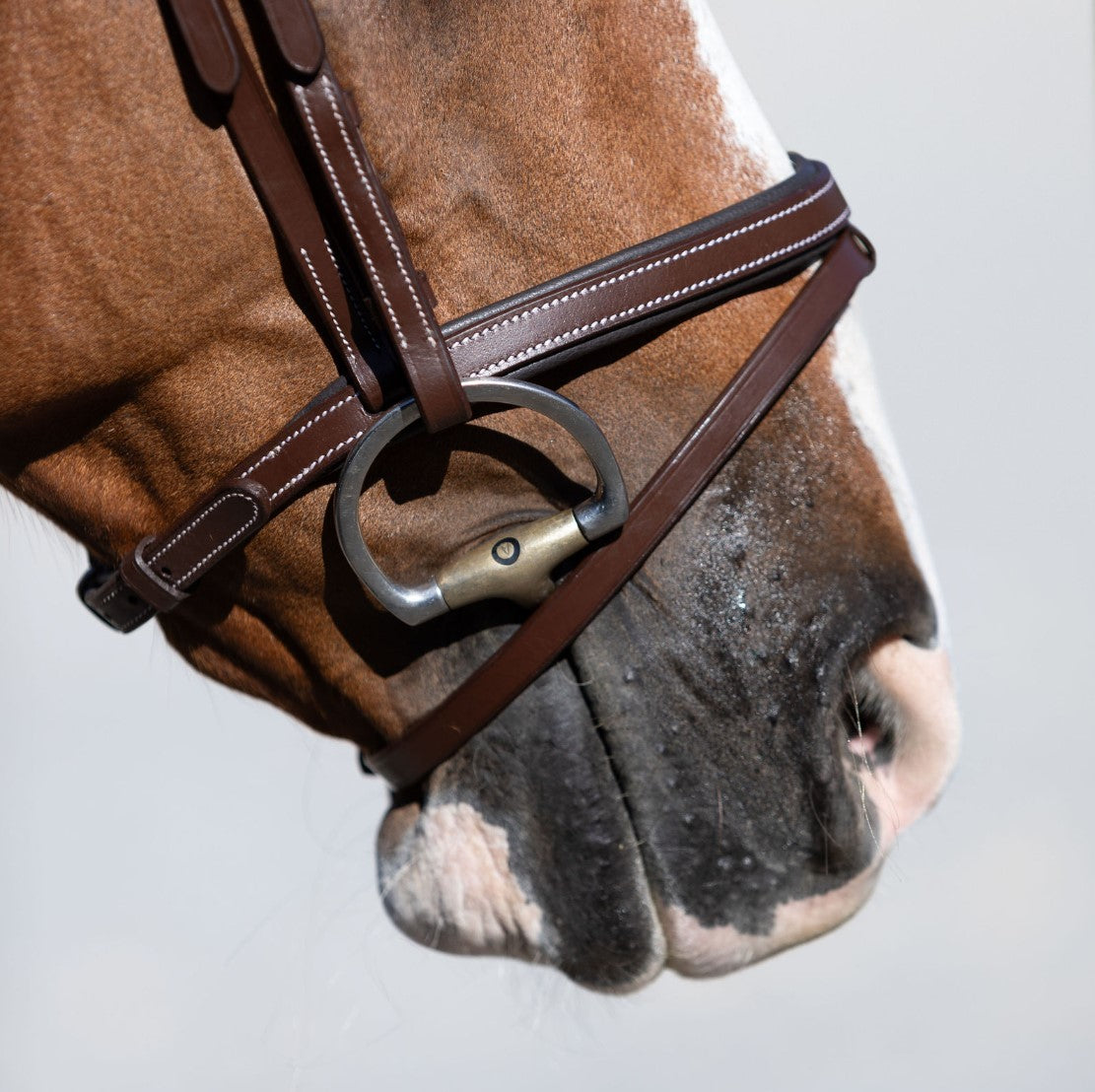 Delaney bridle - Lumiere Equestrian
