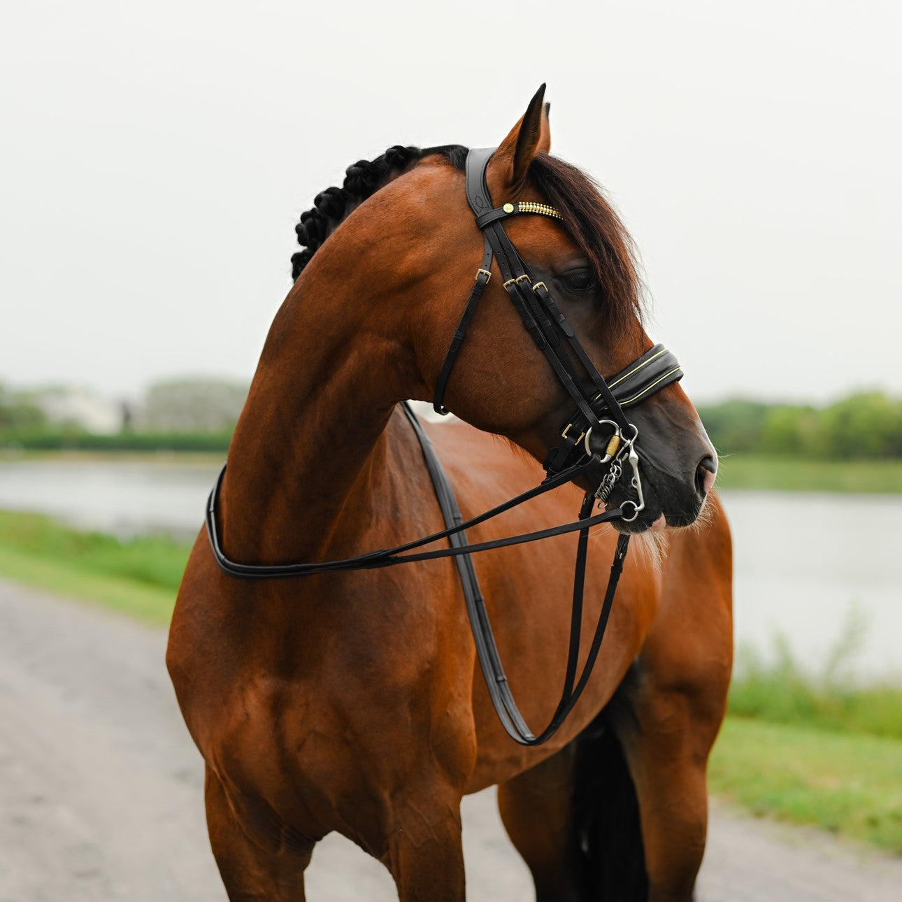 Delta bridle (double) - Lumiere Equestrian