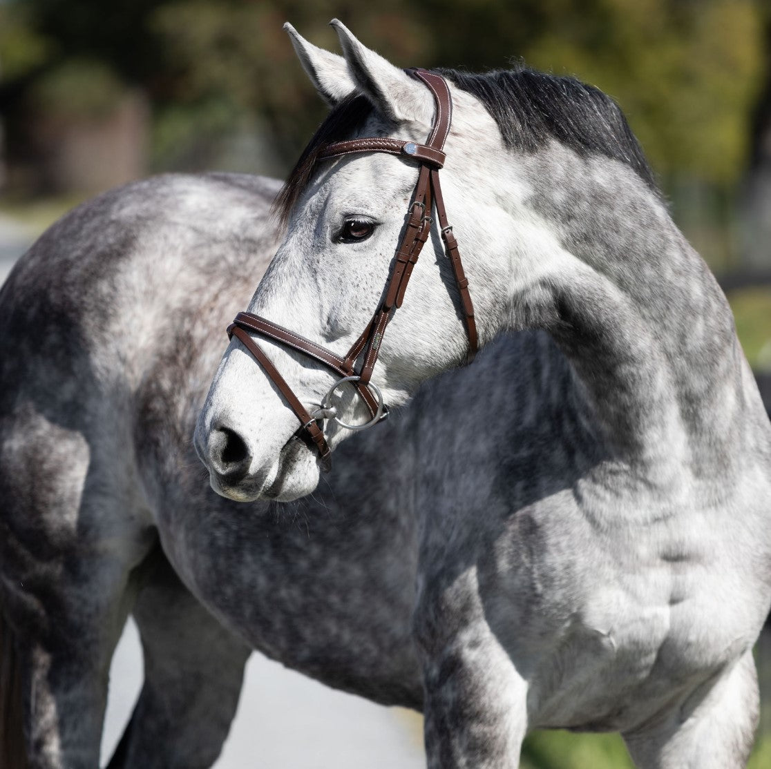 Delaney bridle - Lumiere Equestrian
