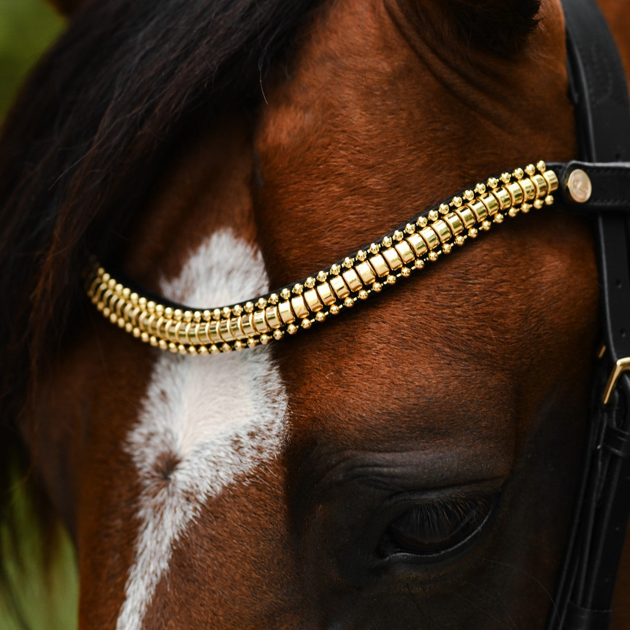 Delta crystal browband (Lumi Pony) - Lumiere Equestrian