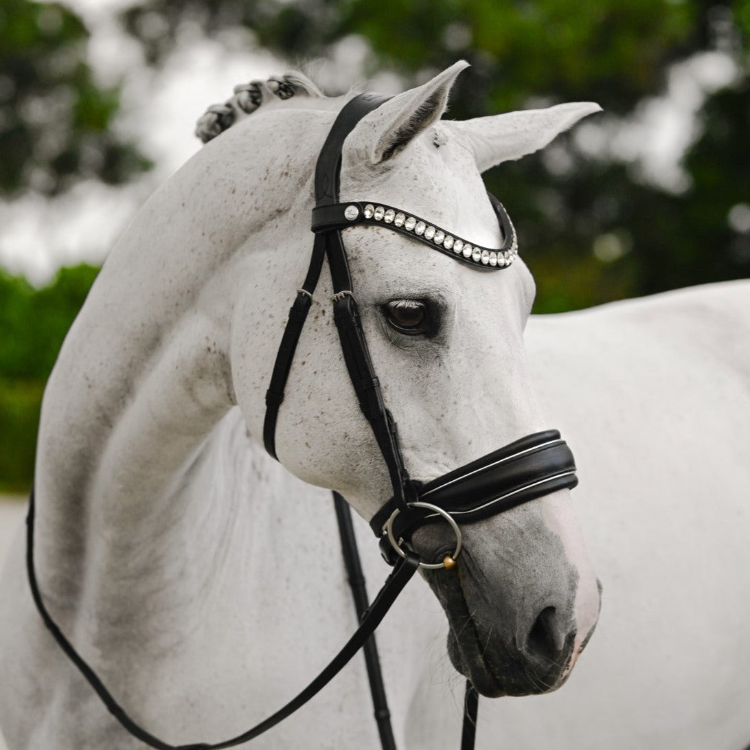 'Diva' leather bridle (cavesson) (Lumi Pony) - Lumiere Equestrian