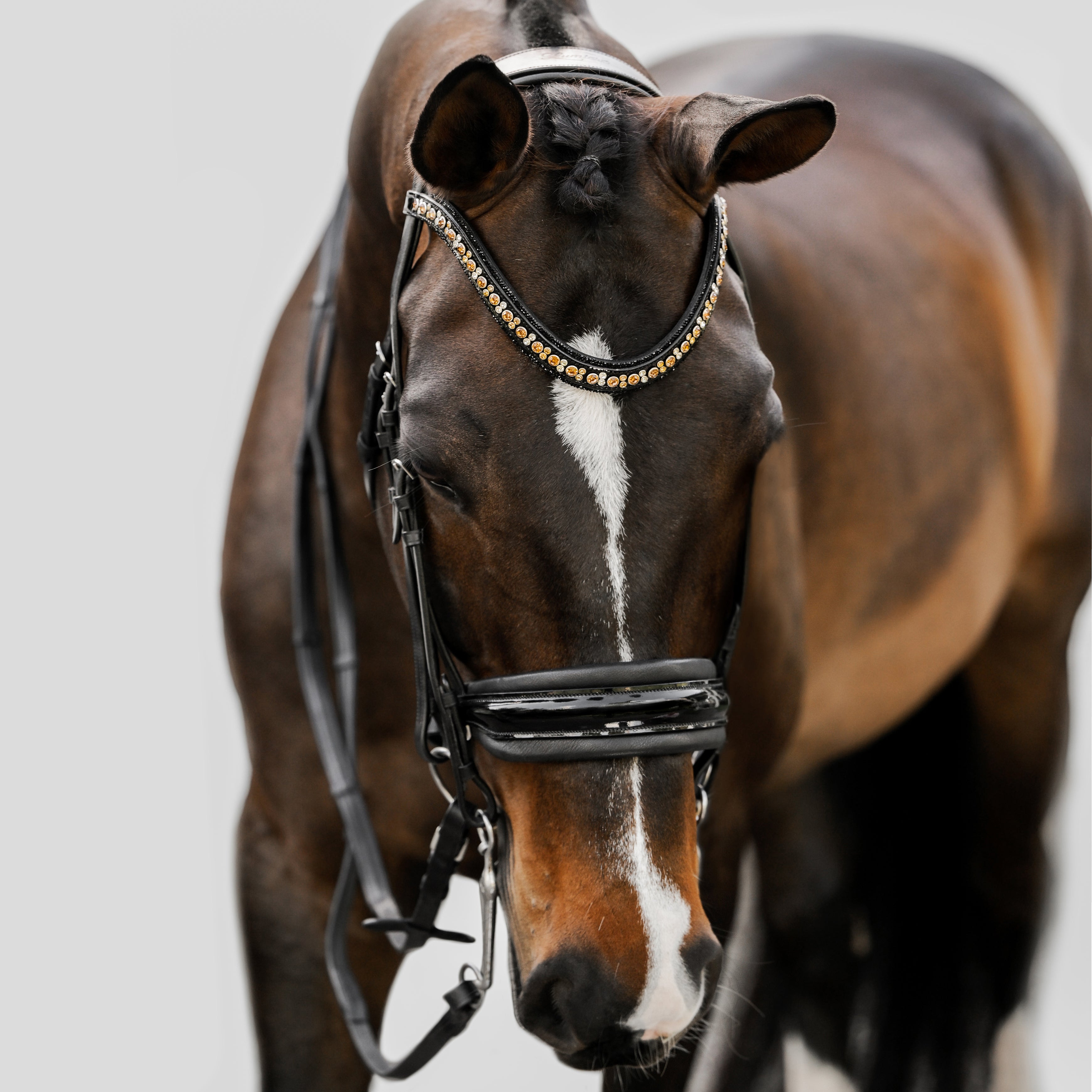 'Ariana' bridle (double) - Lumiere Equestrian