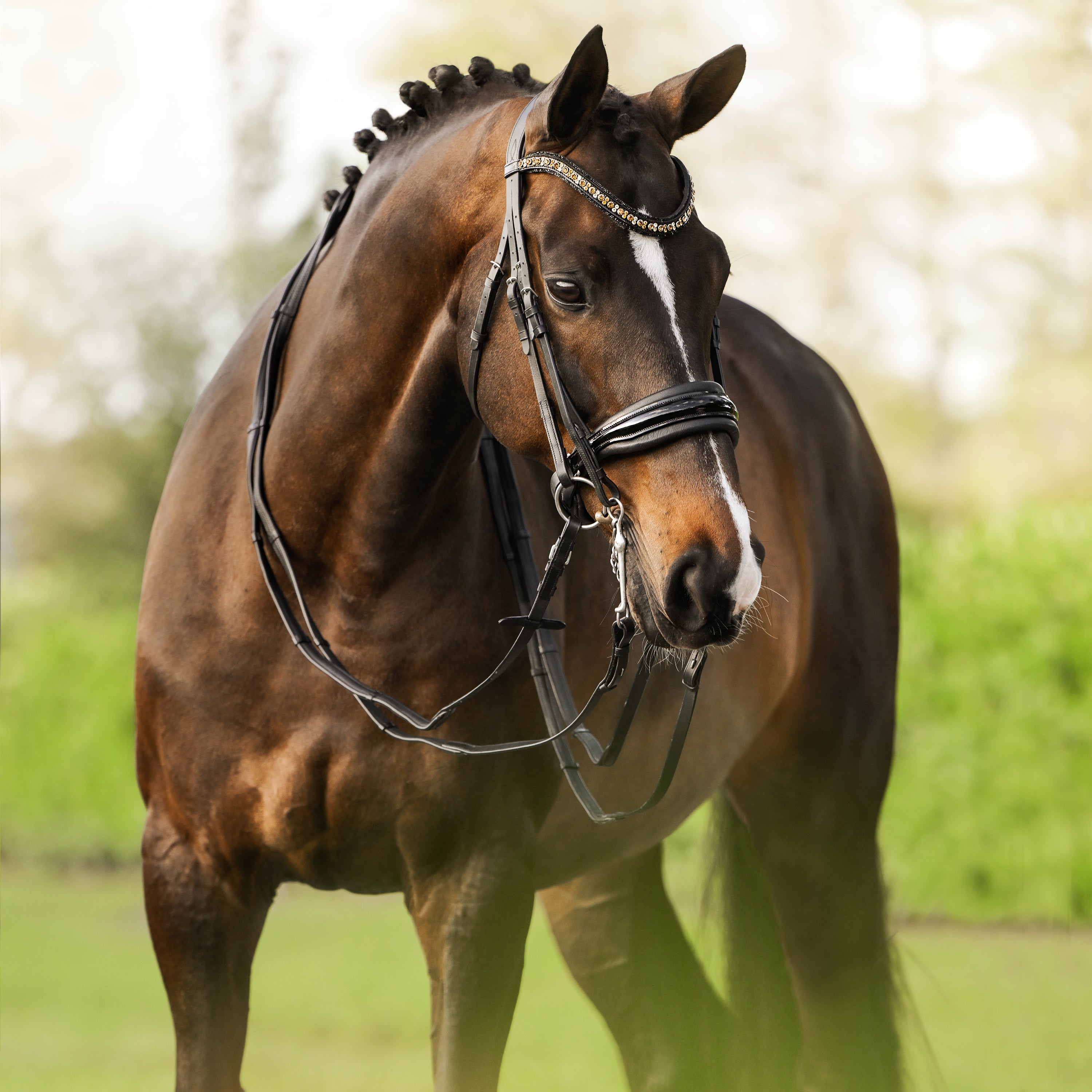 'Ariana' bridle (double) - Lumiere Equestrian