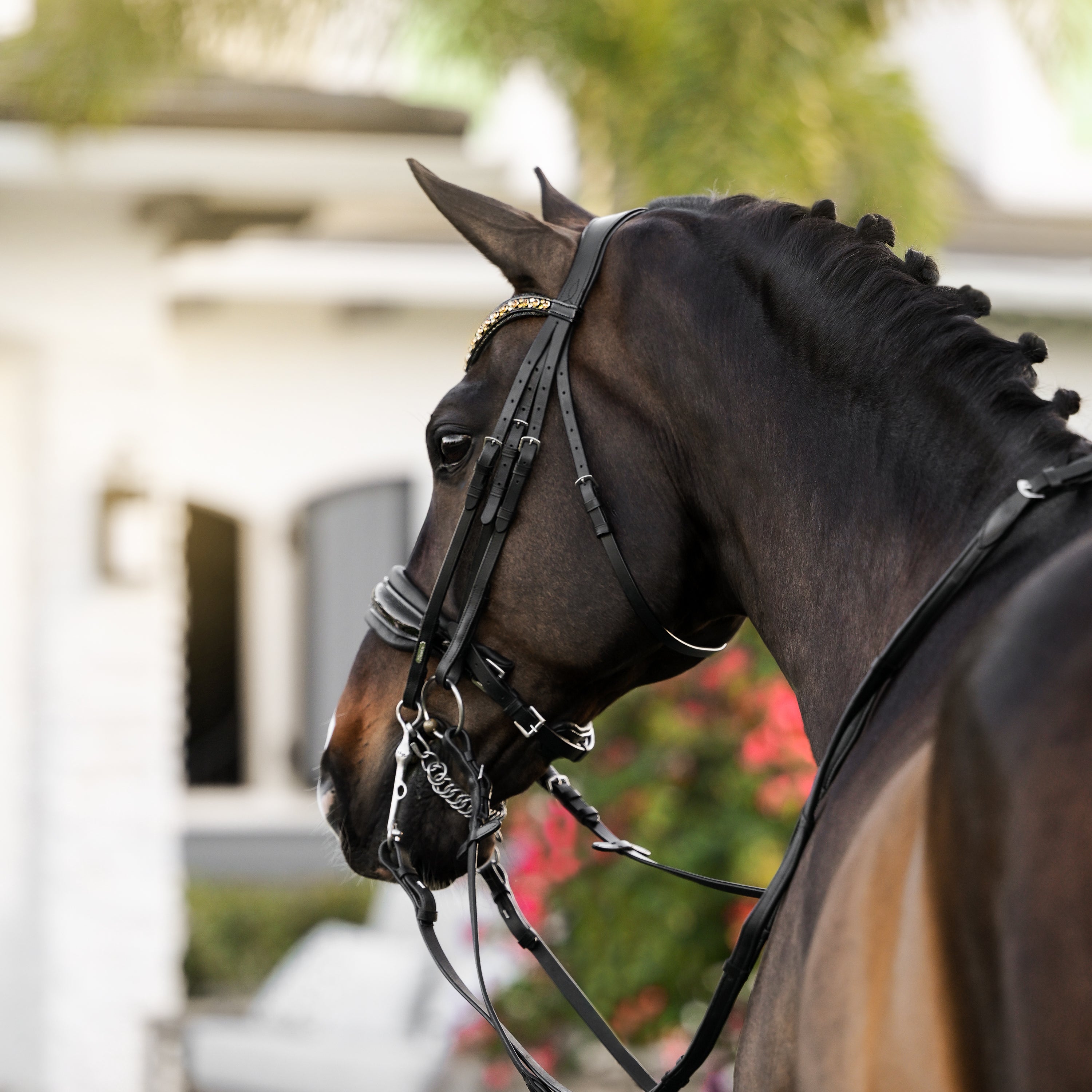 'Ariana' bridle (double) - Lumiere Equestrian