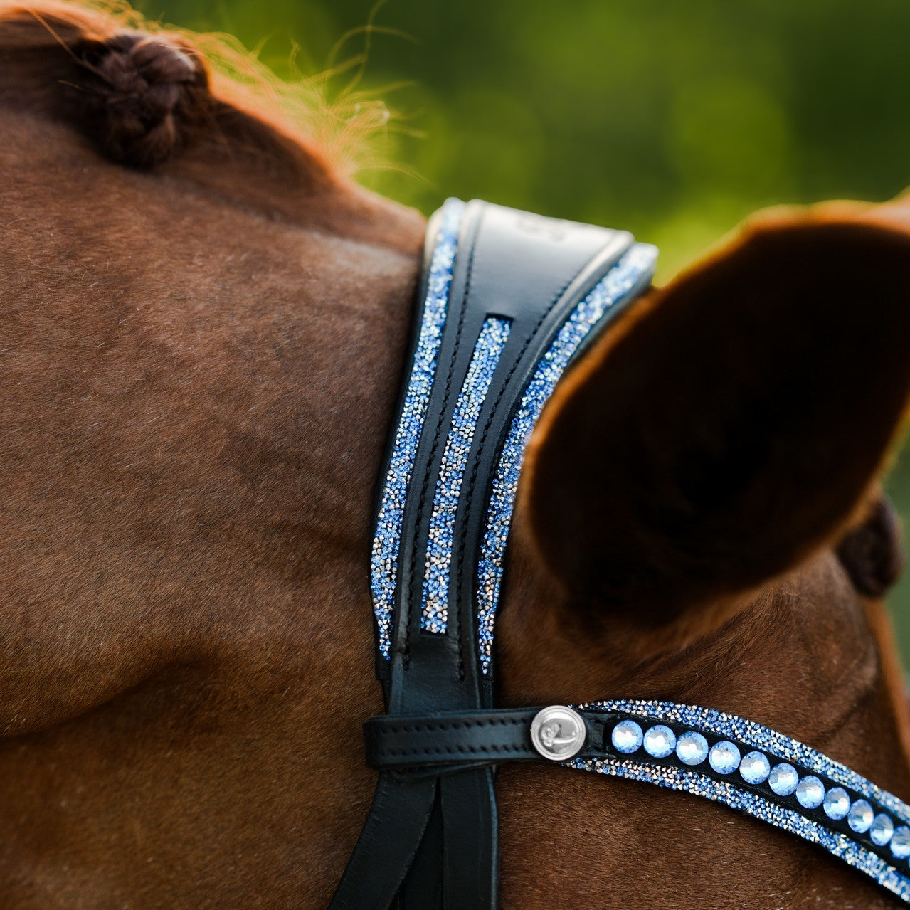 Paris bridle