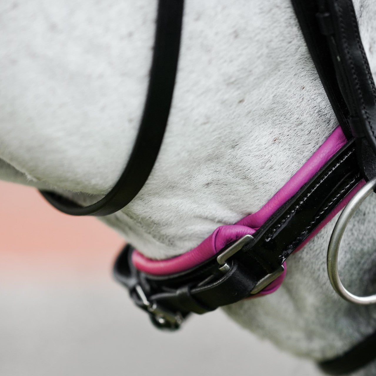 Perla bridle