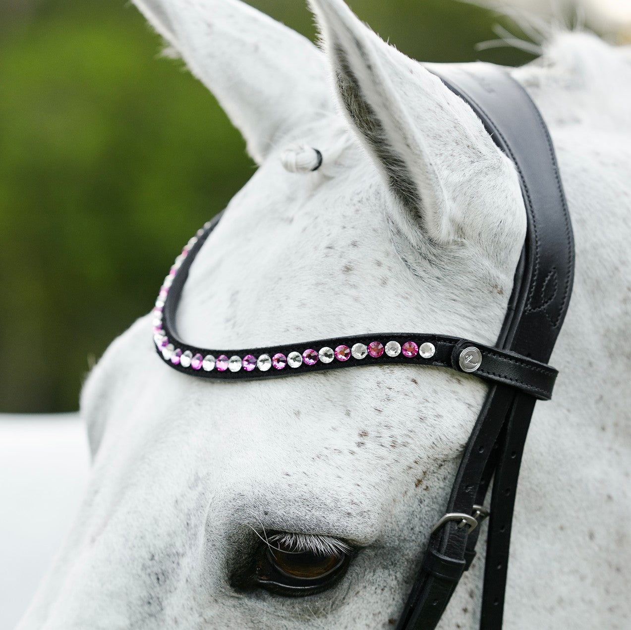 Perla bridle