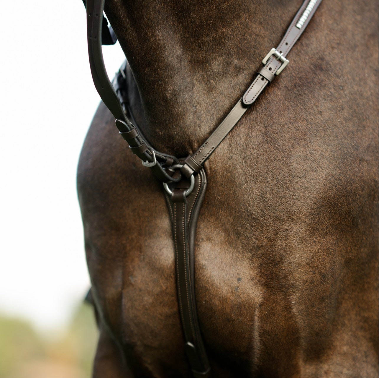 Perseus breastplate