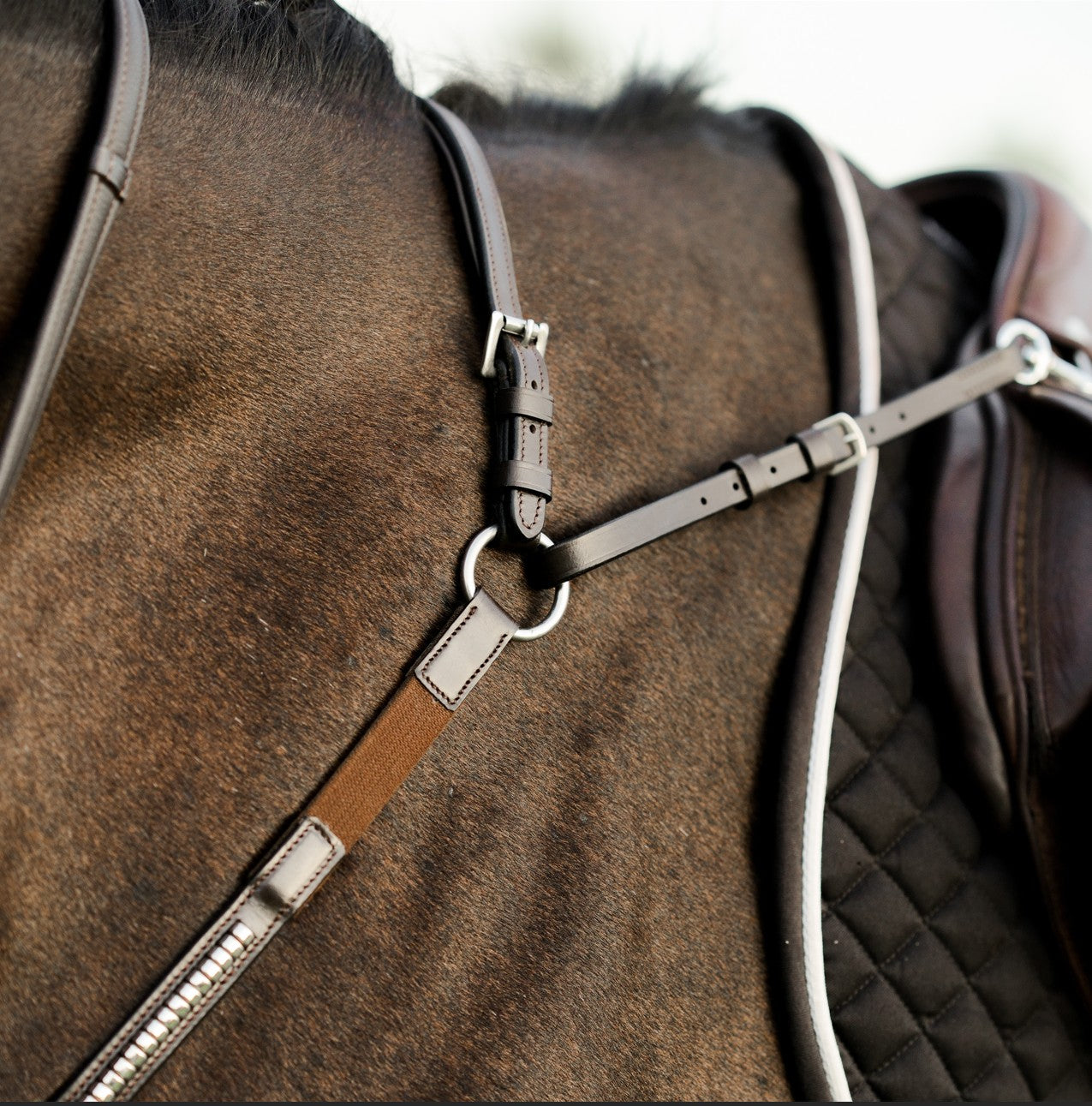 Perseus breastplate