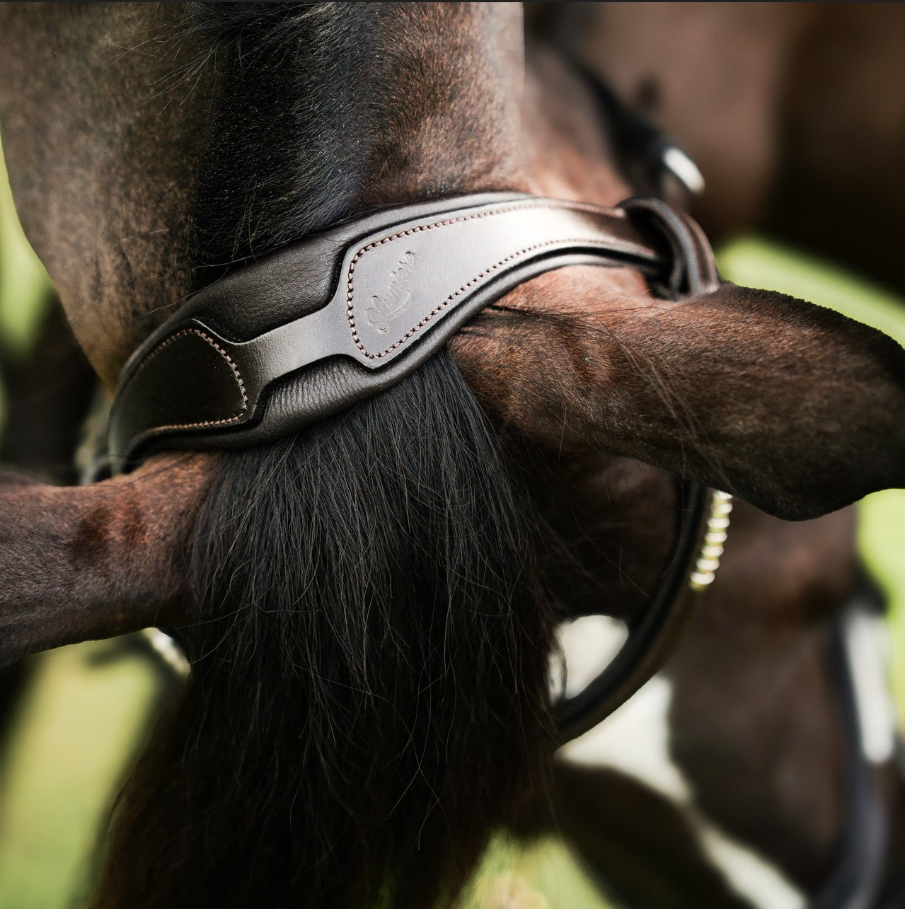 Perseus bridle (convertible)