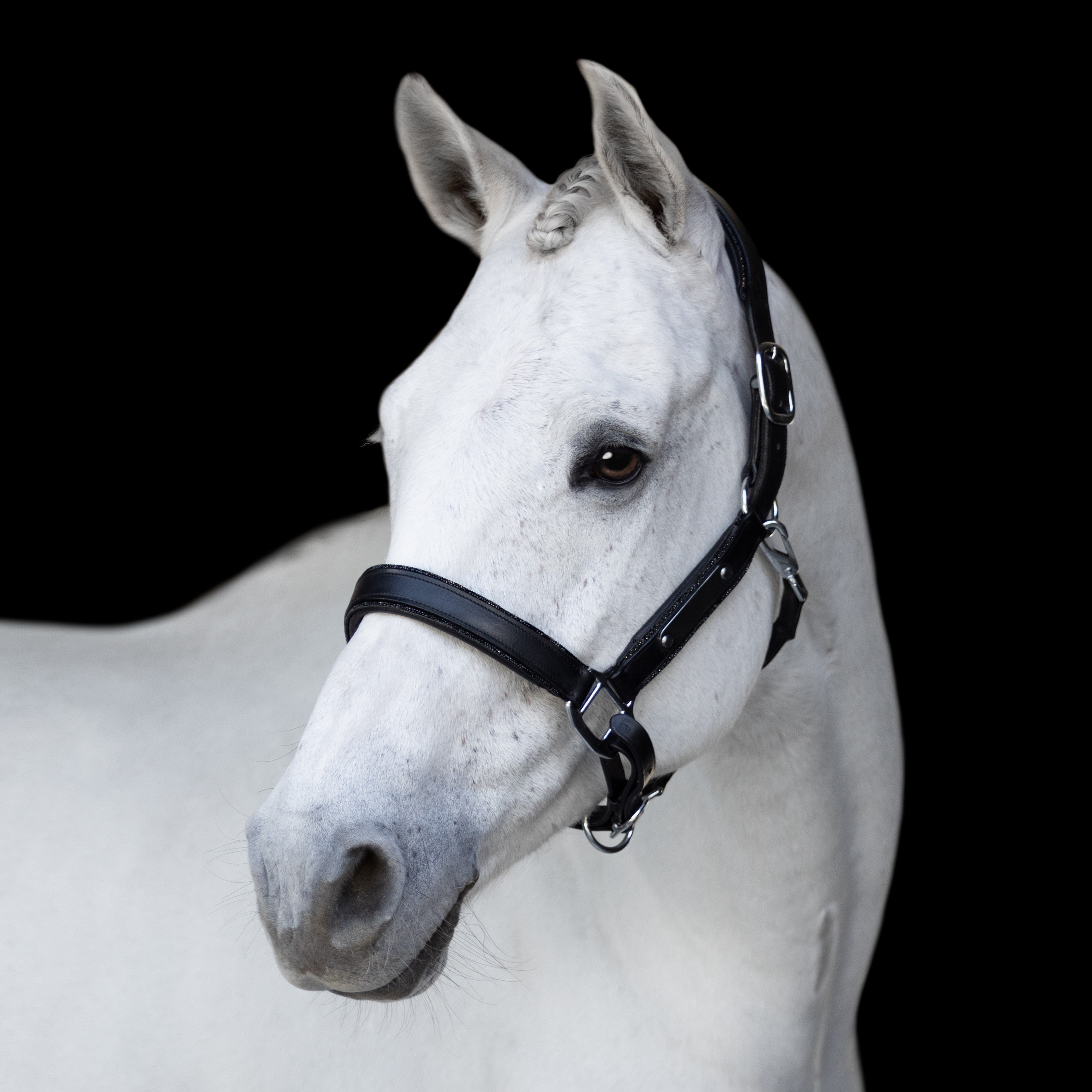 'Vegas' glitter leather halter - Lumiere Equestrian