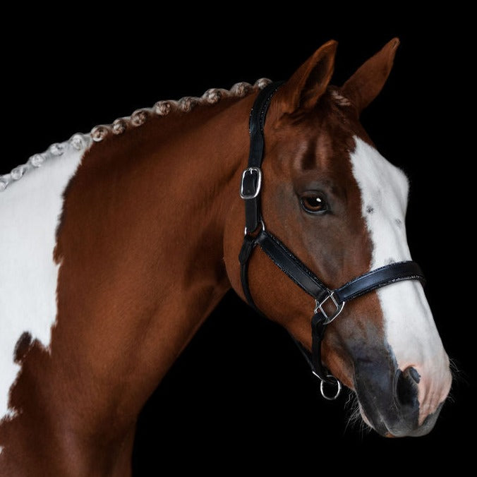 'Vegas' glitter leather halter - Lumiere Equestrian