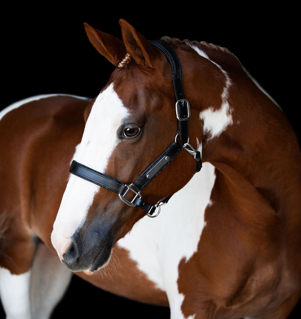 'Vegas' glitter leather halter - Lumiere Equestrian