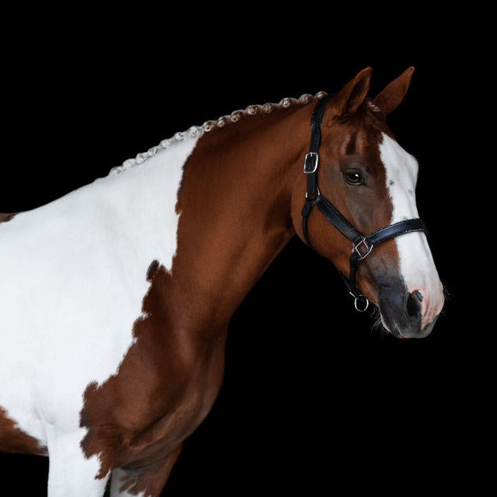 'Vegas' glitter leather halter - Lumiere Equestrian