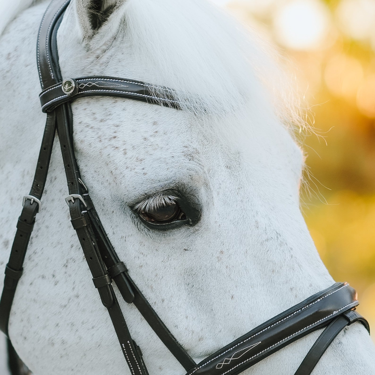 'Milan' leather bridle (convertible)