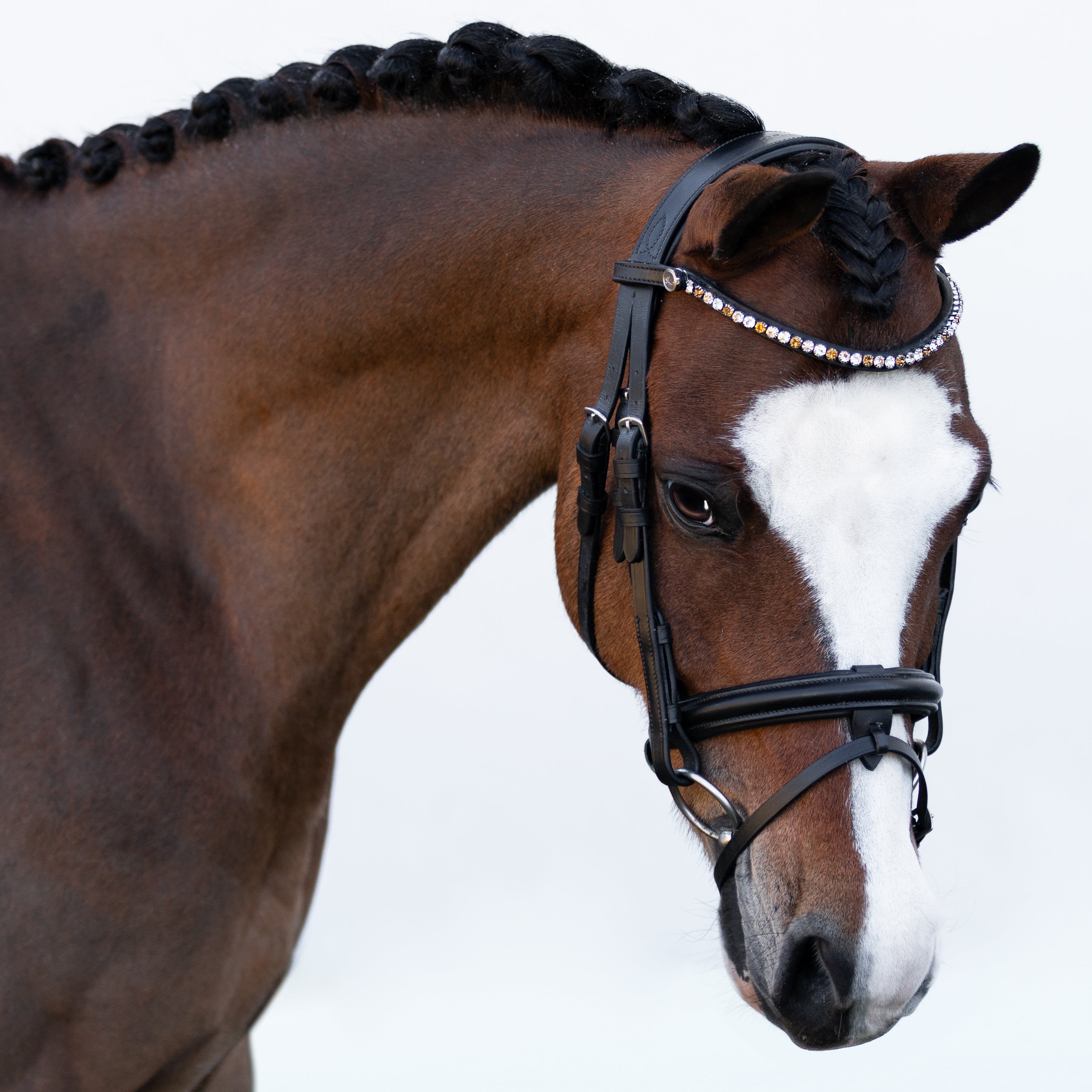 'Megan' convertible leather bridle (Lumi Pony) - Lumiere Equestrian