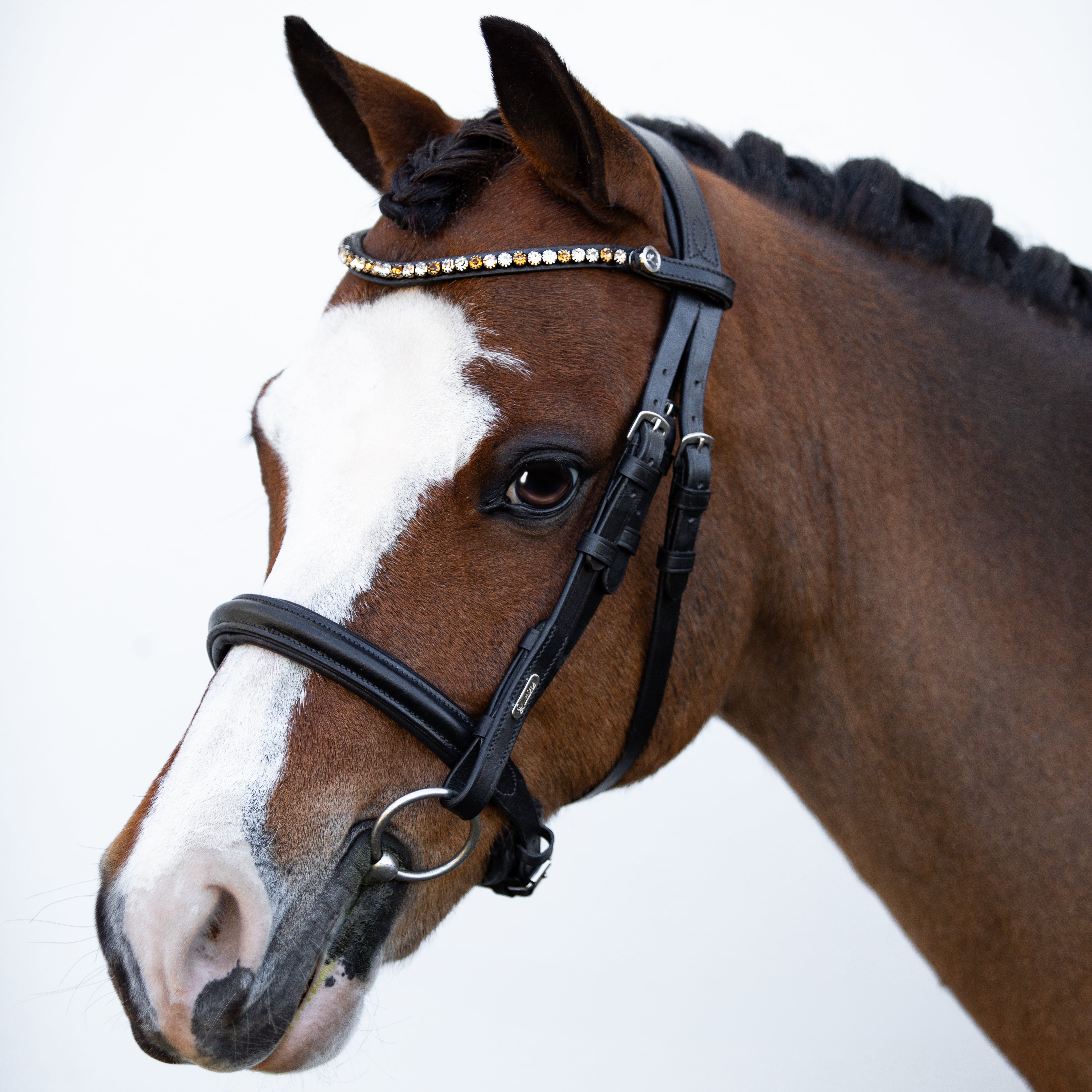 'Megan' convertible leather bridle (Lumi Pony) - Lumiere Equestrian