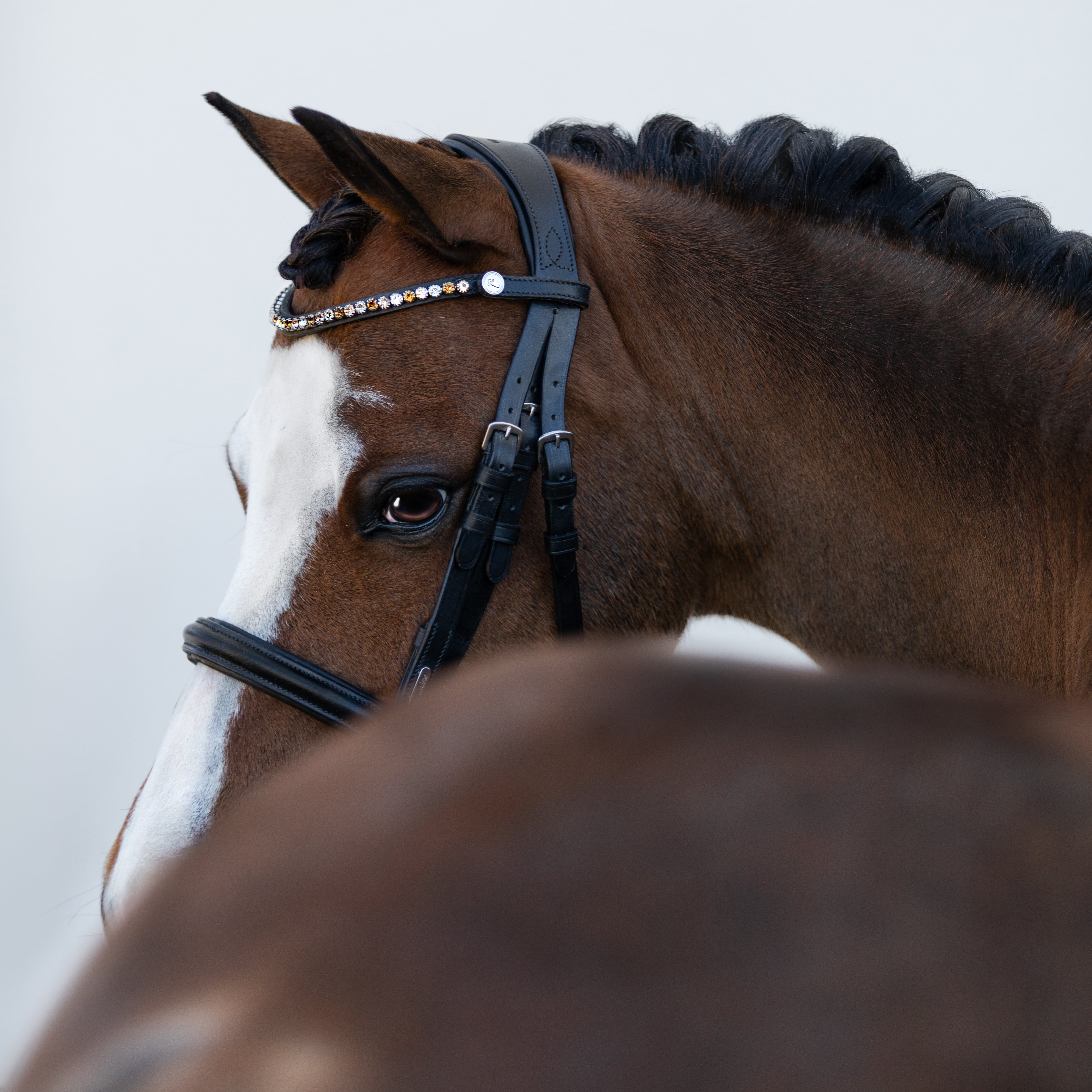 'Megan' convertible leather bridle (Lumi Pony) - Lumiere Equestrian