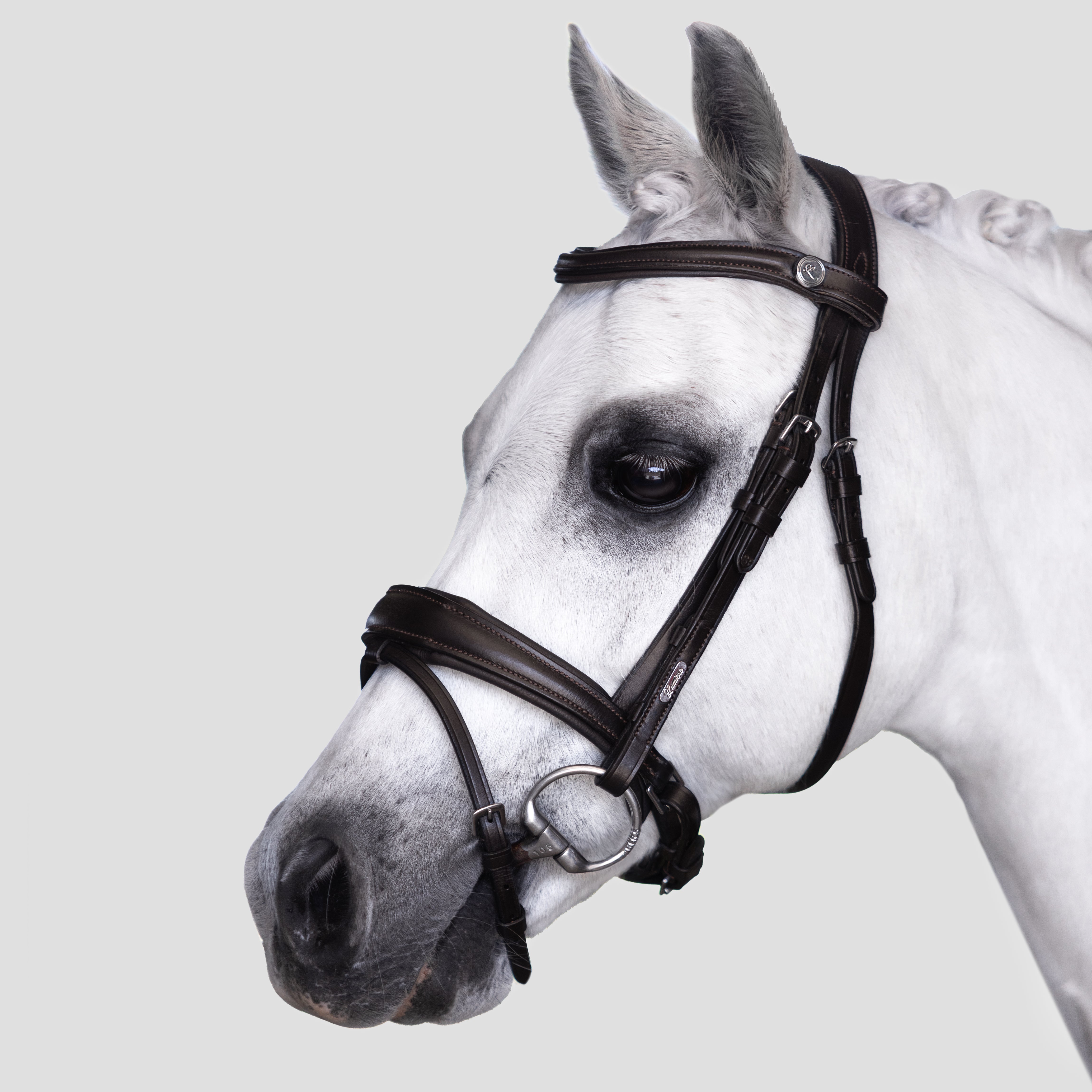 'Mikayla' Leather Bridle (Convertible) (Lumi Pony) - Lumiere Equestrian