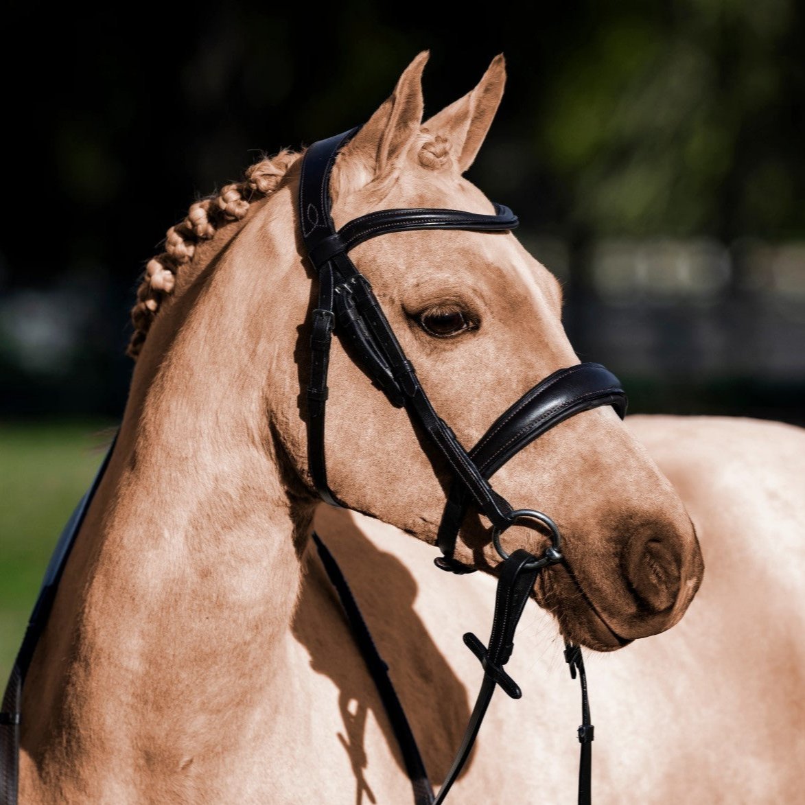 'Mikayla' Leather Bridle (Convertible) (Lumi Pony) - Lumiere Equestrian