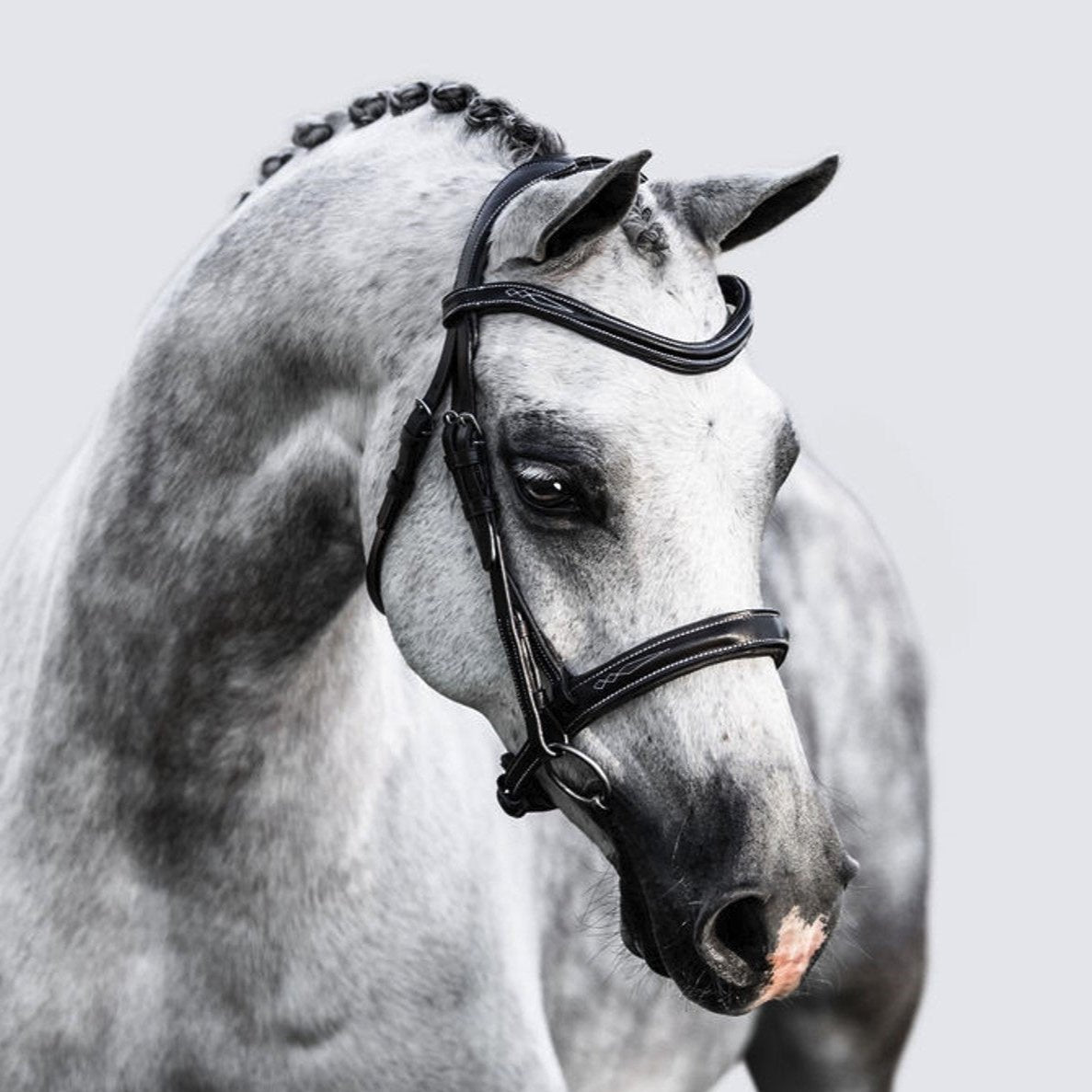 'Milan' leather bridle (convertible) (Lumi Pony) - Lumiere Equestrian