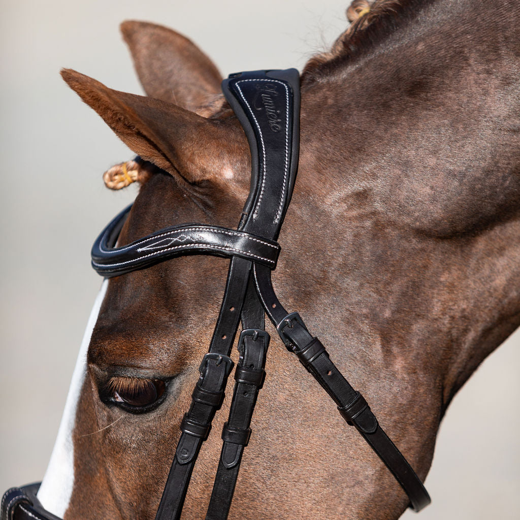 'Milan' leather bridle (convertible) (Lumi Pony) - Lumiere Equestrian