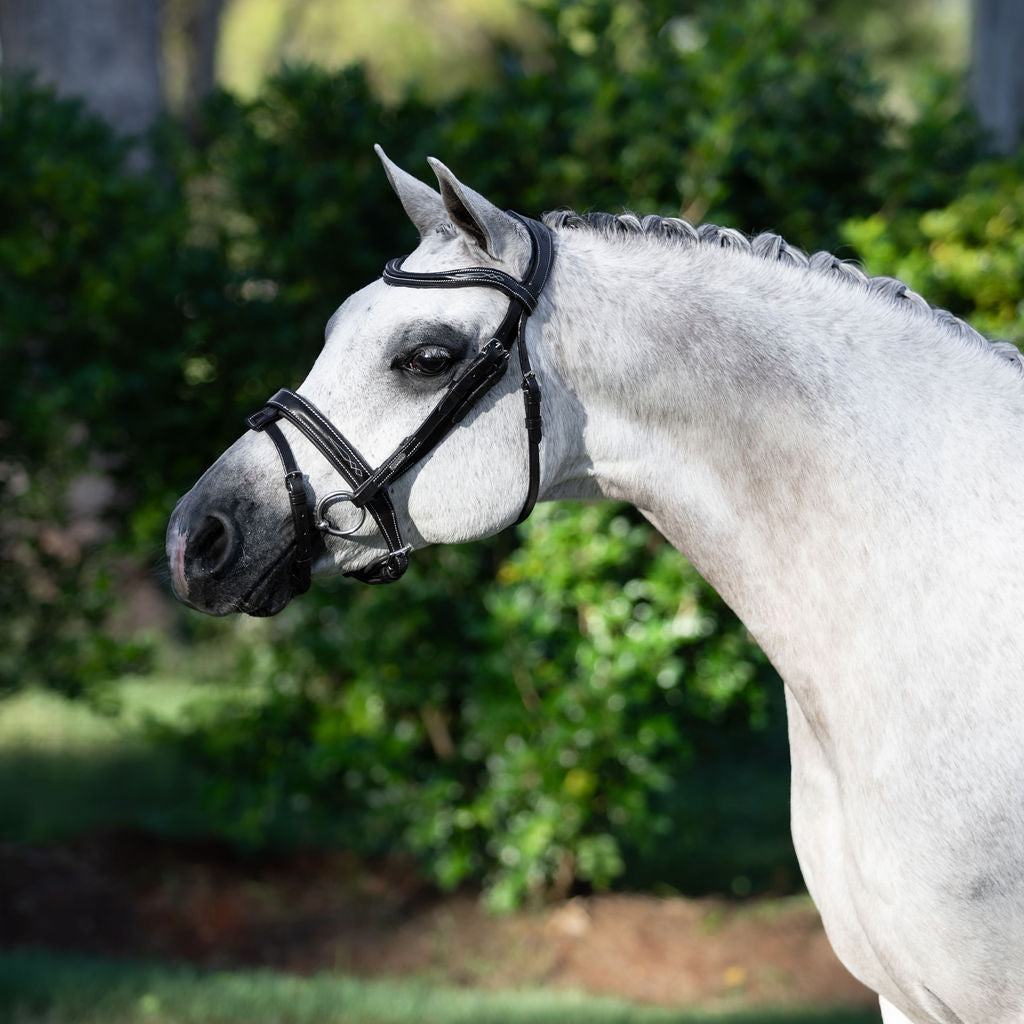 'Milan' leather bridle (convertible) (Lumi Pony) - Lumiere Equestrian