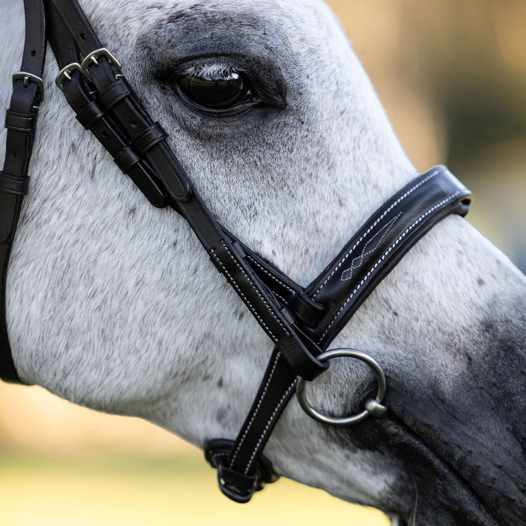 'Milan' leather bridle (convertible) (Lumi Pony) - Lumiere Equestrian