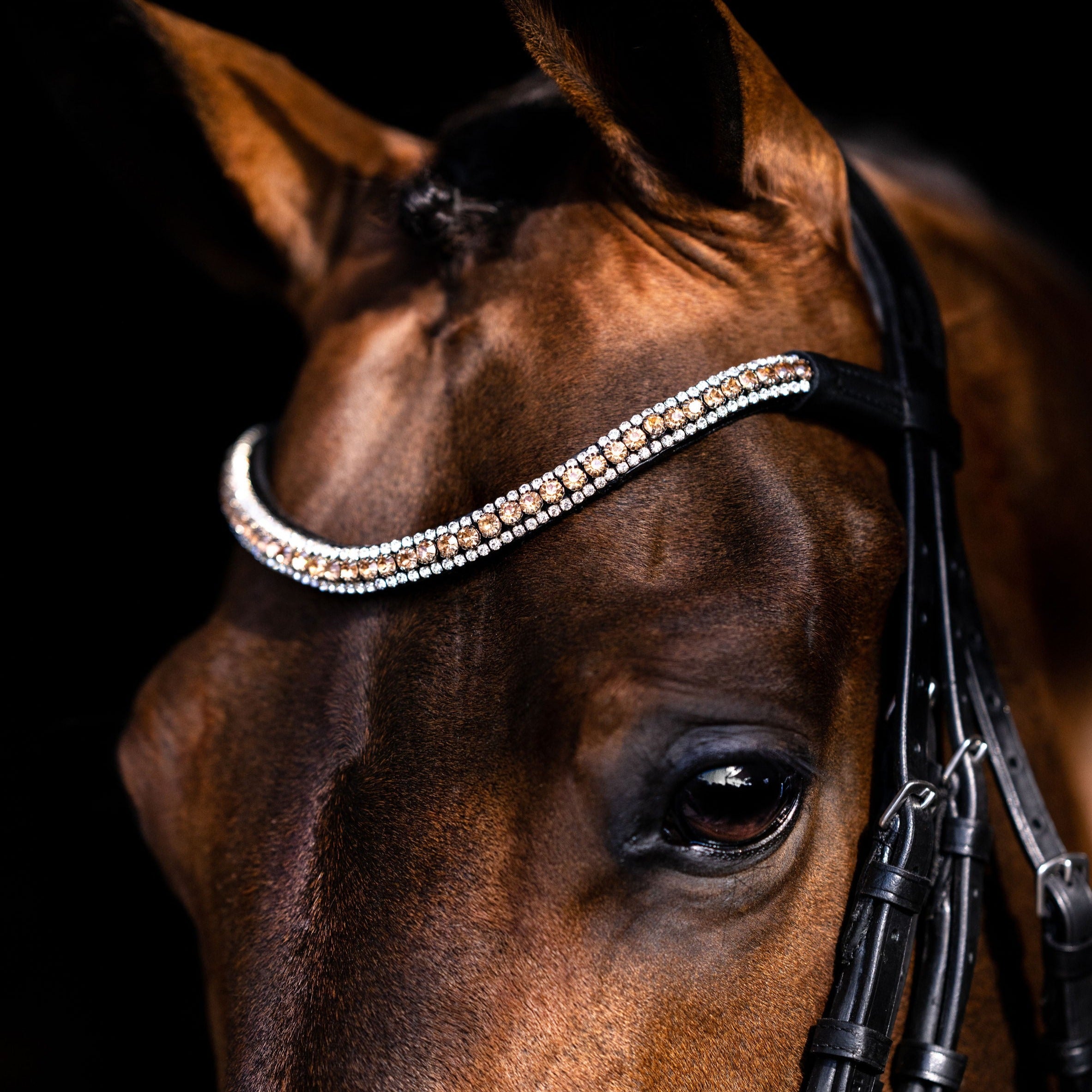 Champagne crystal browband - Lumiere Equestrian