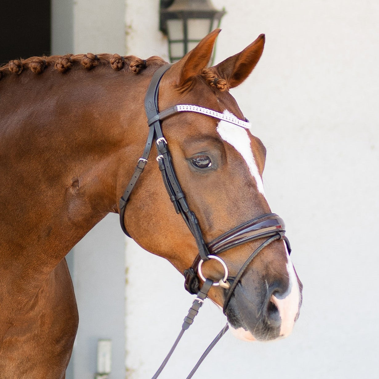 'Amie' Rolled Leather Bridle (Hanoverian) - Lumiere Equestrian