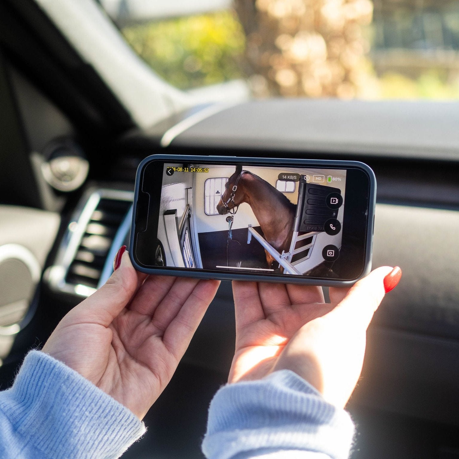 Equine Eye Vision - Lumiere Equestrian