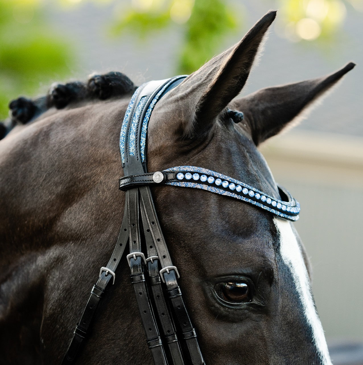 Paris bridle (double)