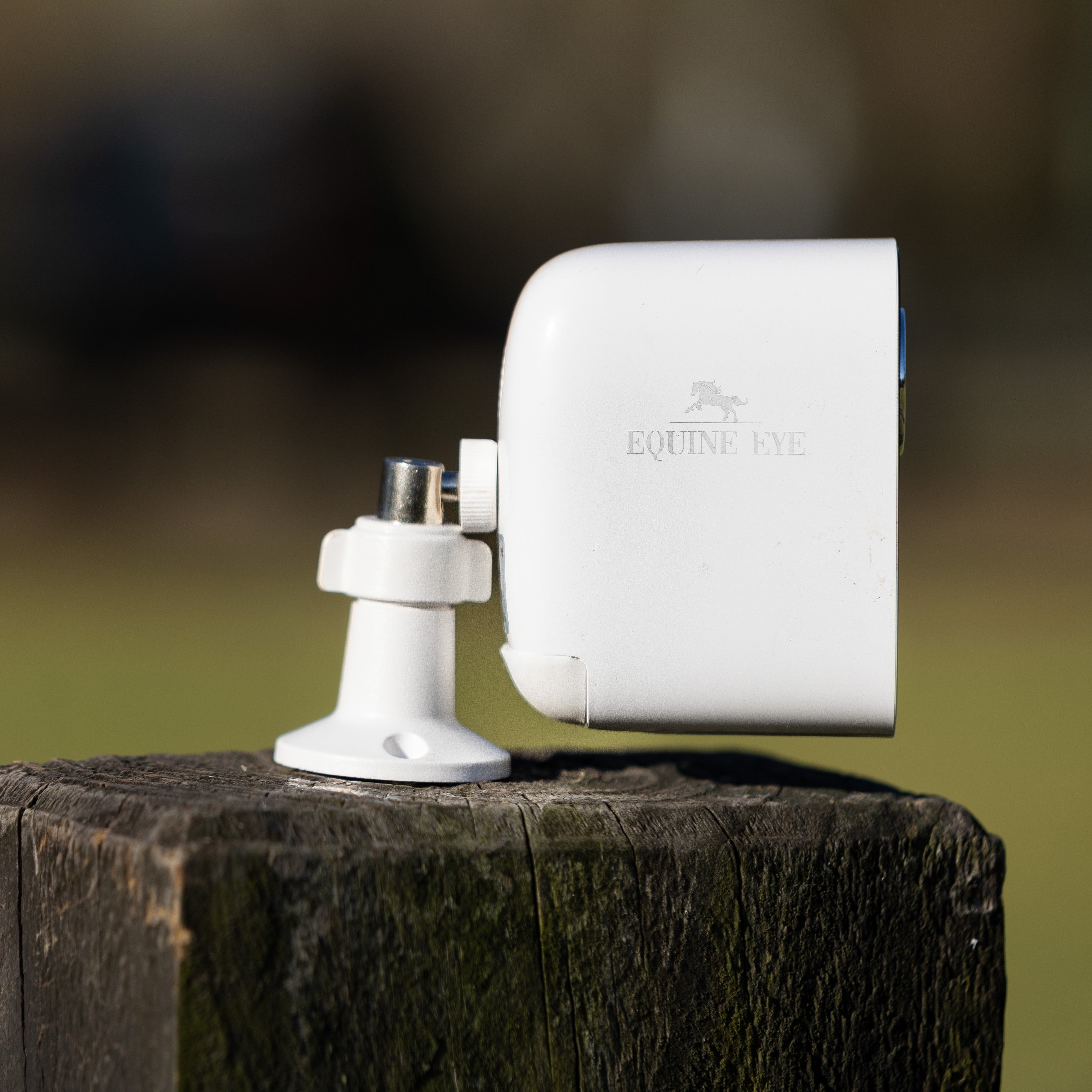 Equine Eye Vision - additional mount - Lumiere Equestrian