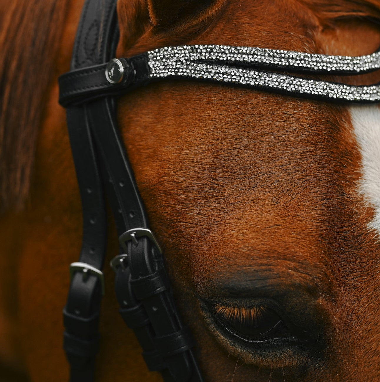 Princess Browband (Lumi Pony) Clearance - Lumiere Equestrian