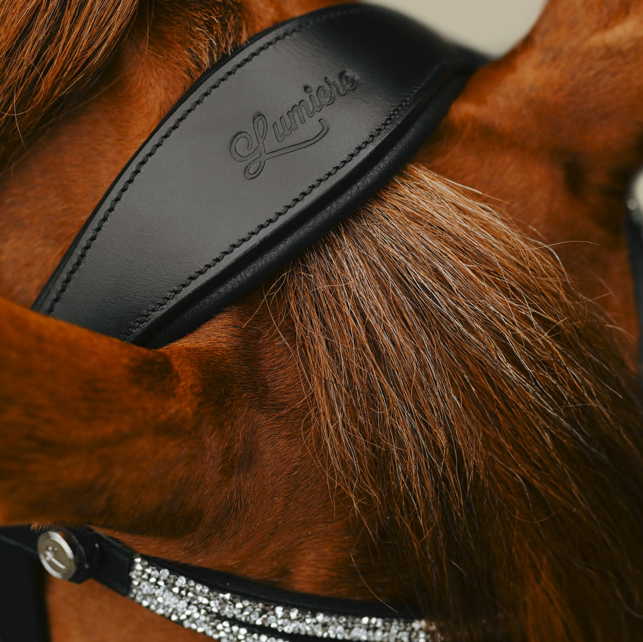 Princess Browband (Lumi Pony) Clearance - Lumiere Equestrian