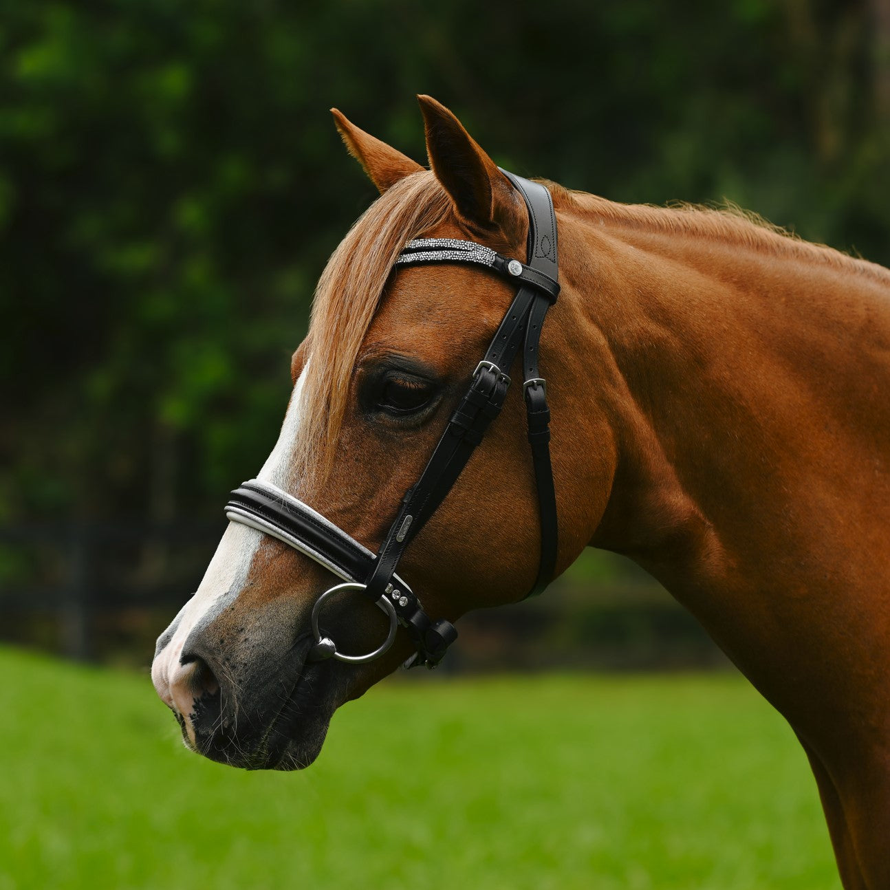 Princess bridle (Lumi Pony) - Lumiere Equestrian