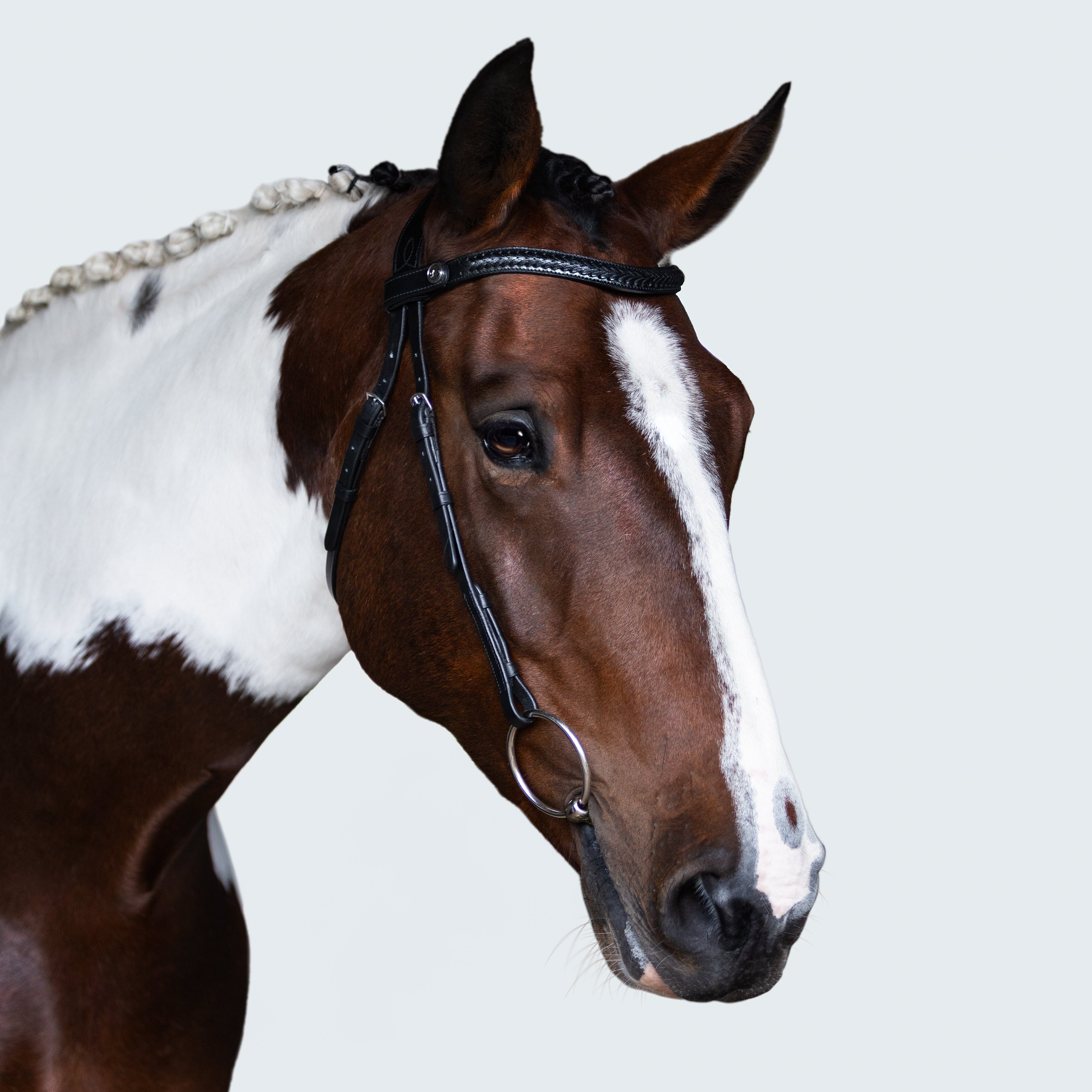 Sansa Nosebandless Bridle - Lumiere Equestrian