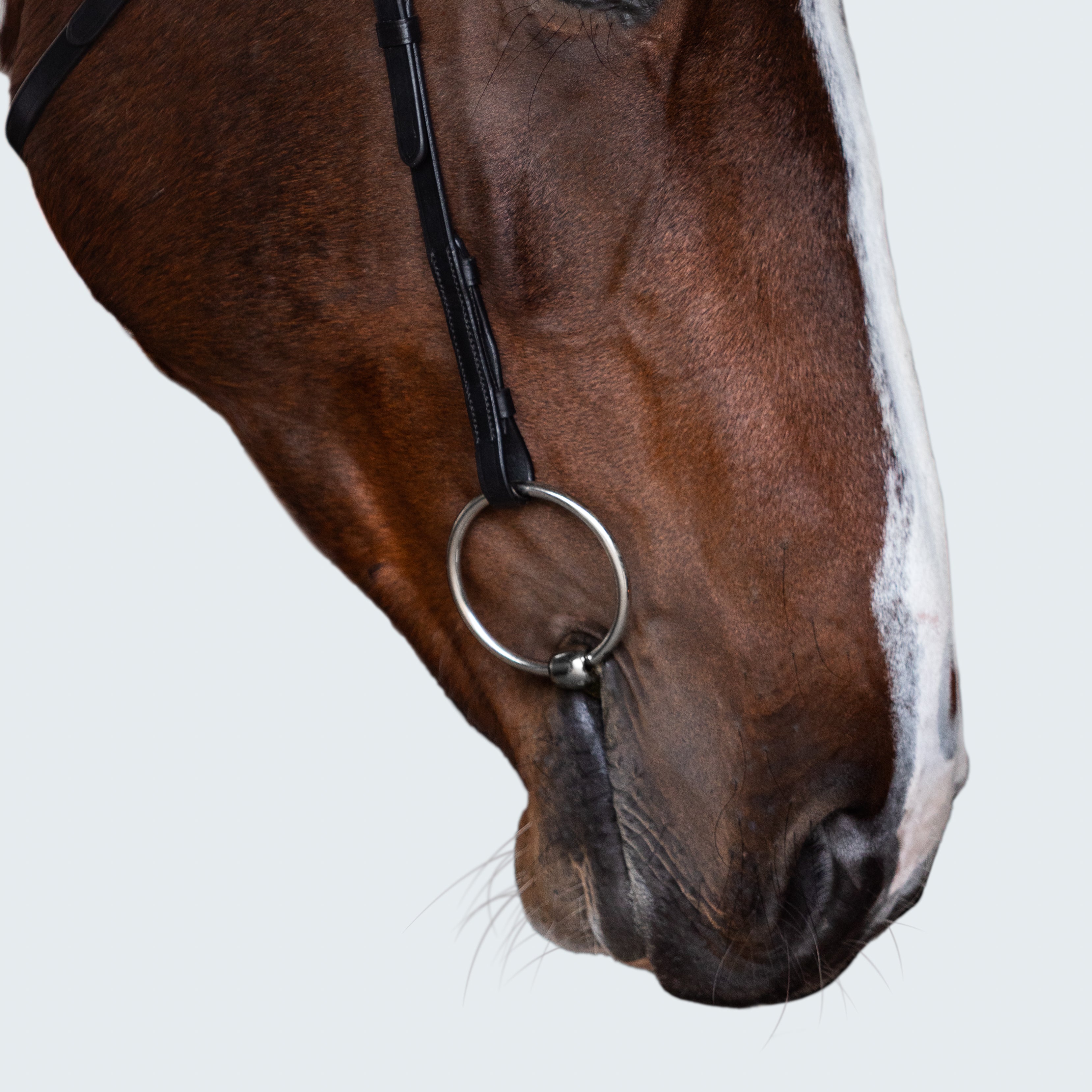 Sansa Nosebandless Bridle - Lumiere Equestrian