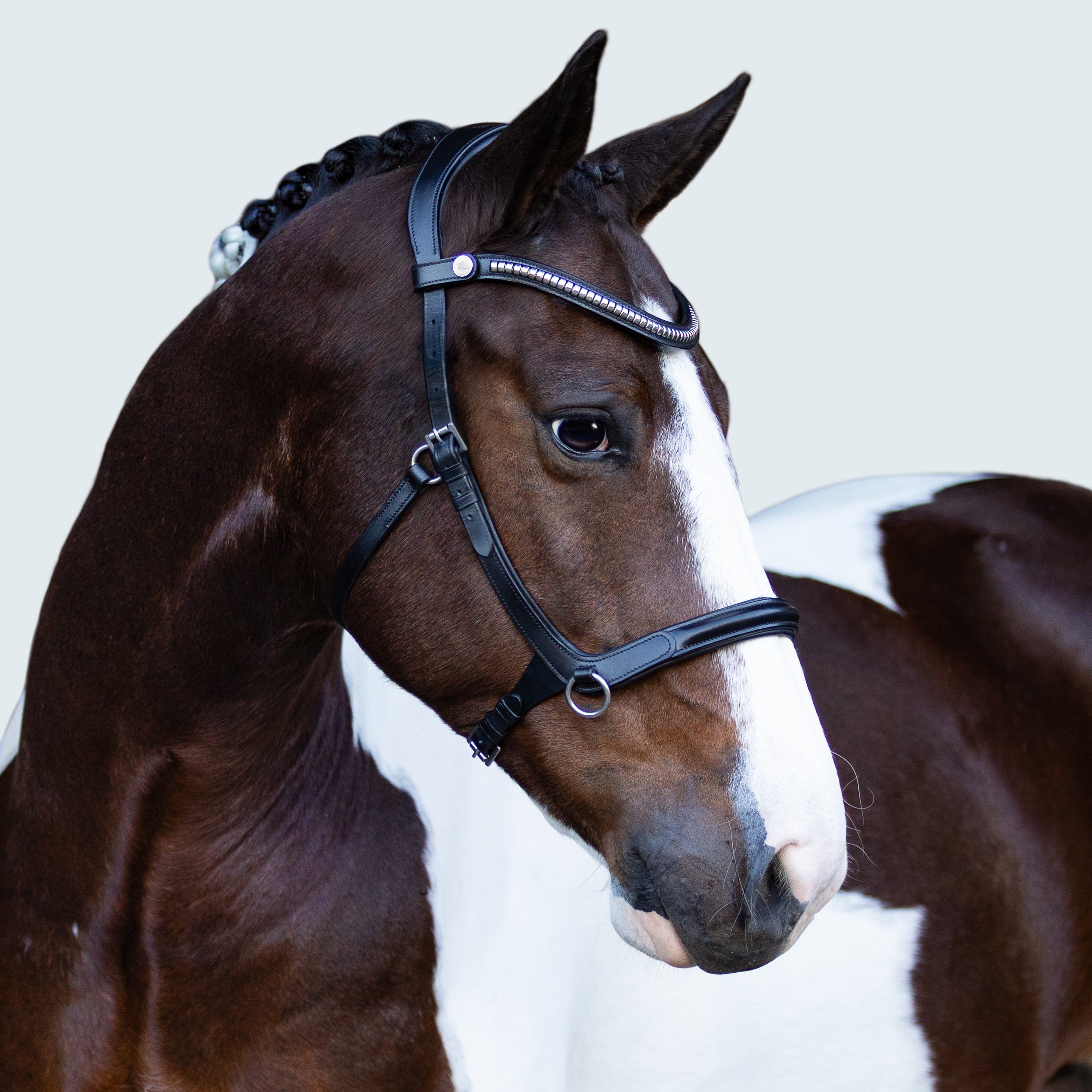 Santiago Bitless Bridle - Lumiere Equestrian
