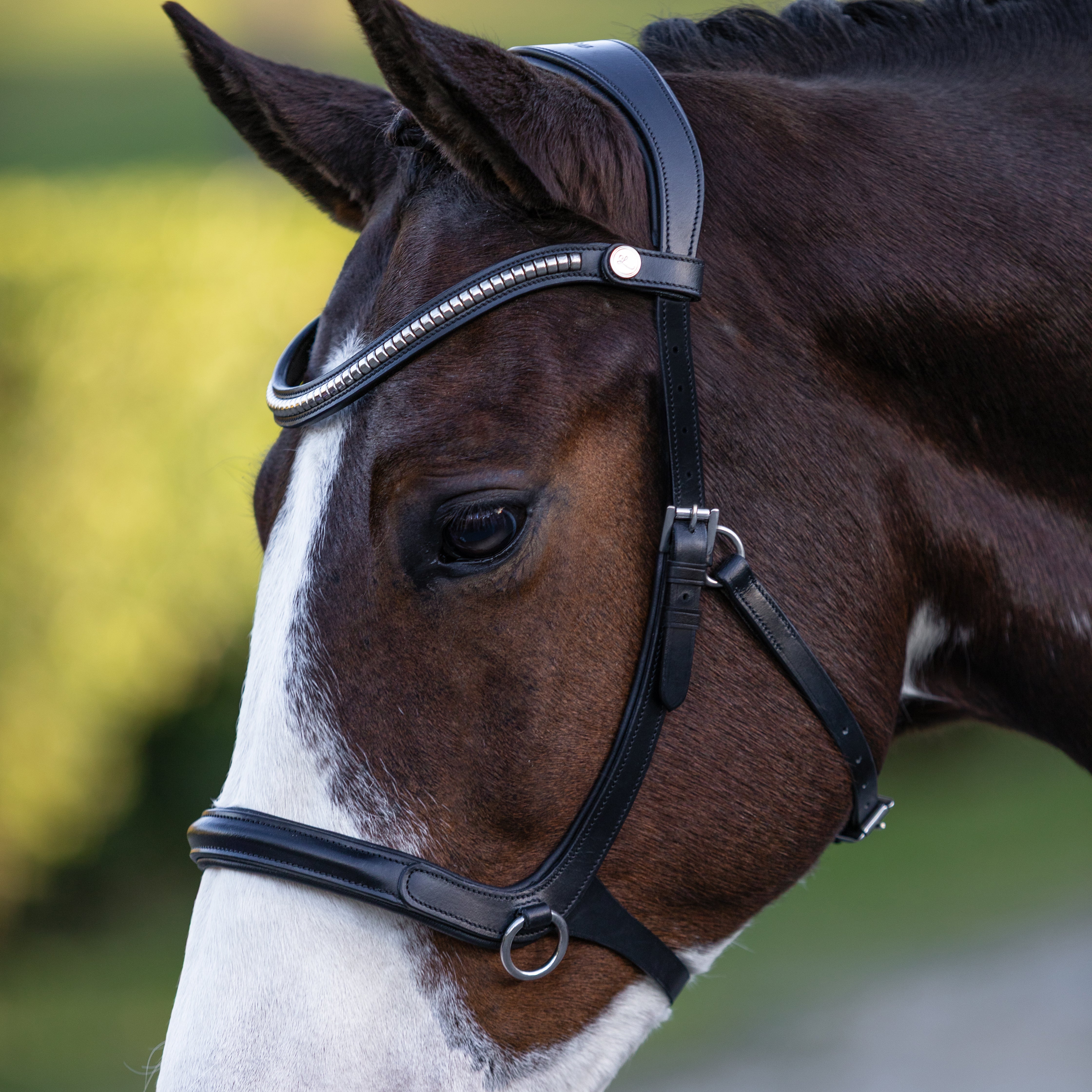Santiago Bitless Bridle - Lumiere Equestrian