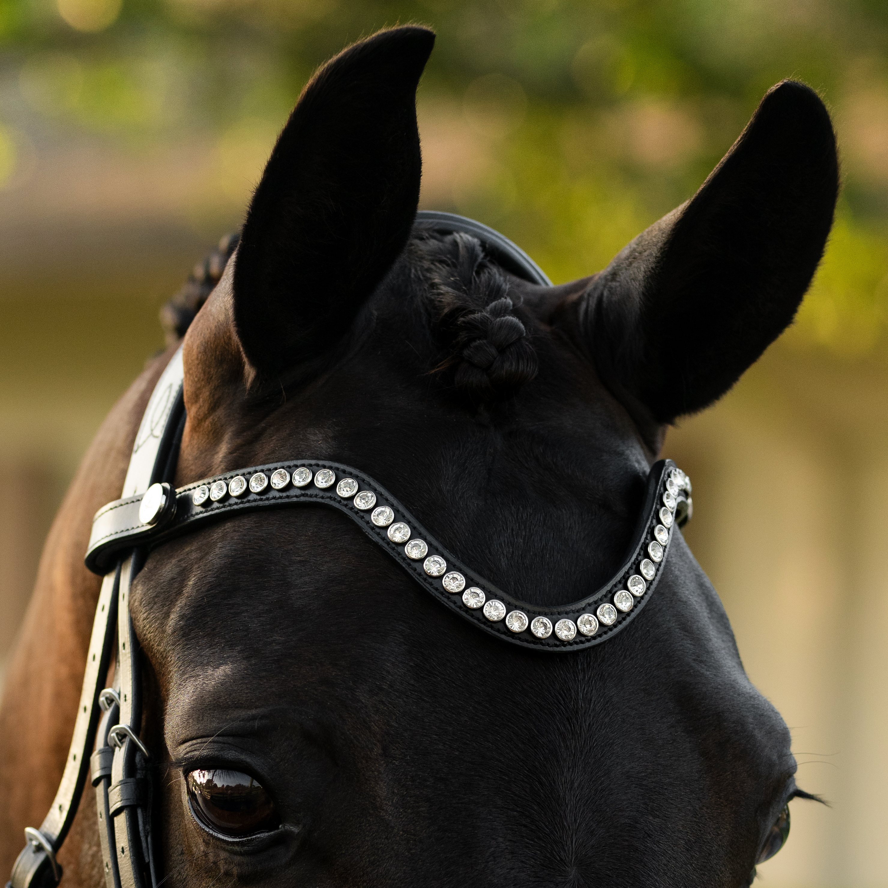Saphira Bridle (cavesson) - Lumiere Equestrian
