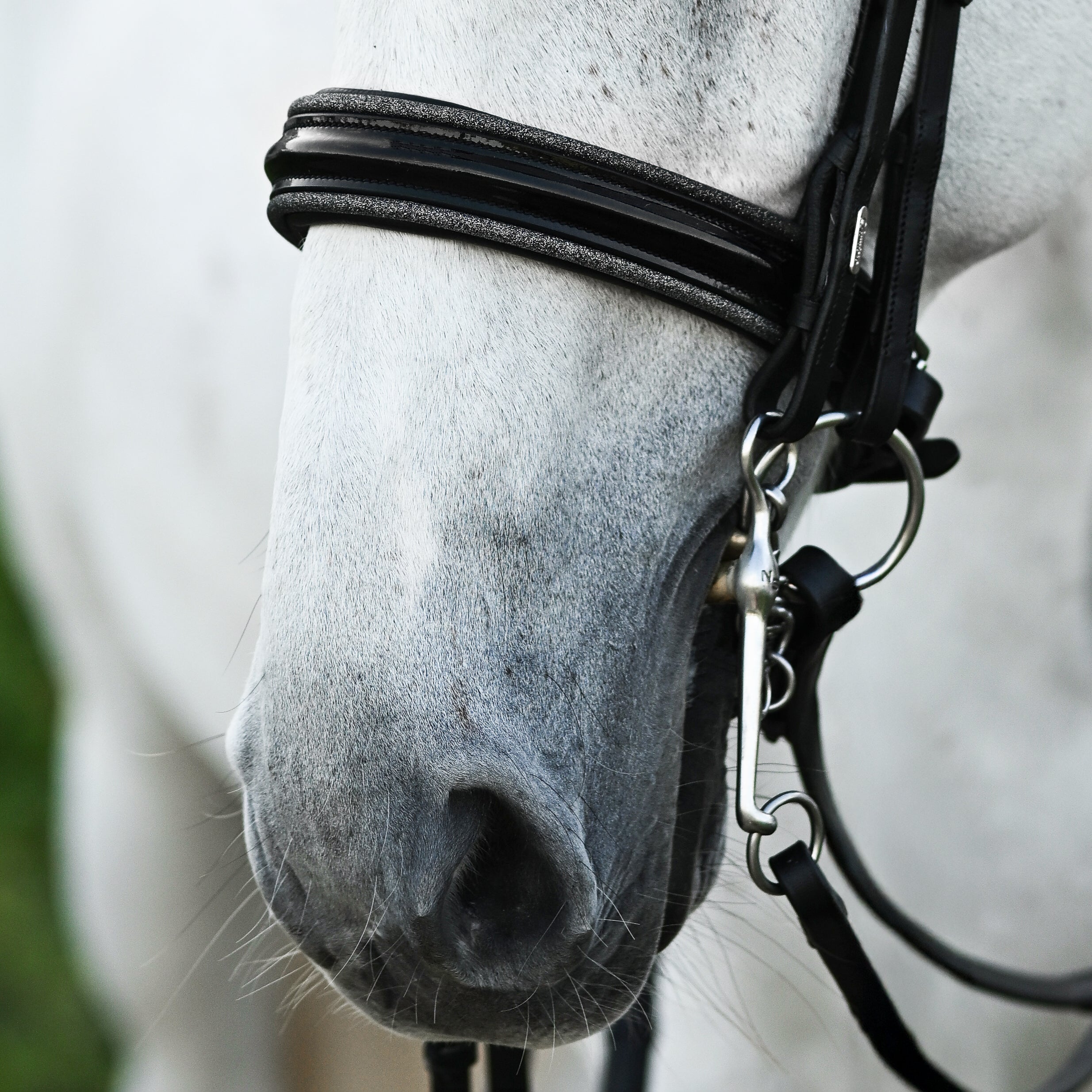 Saphira Bridle (double) - Lumiere Equestrian