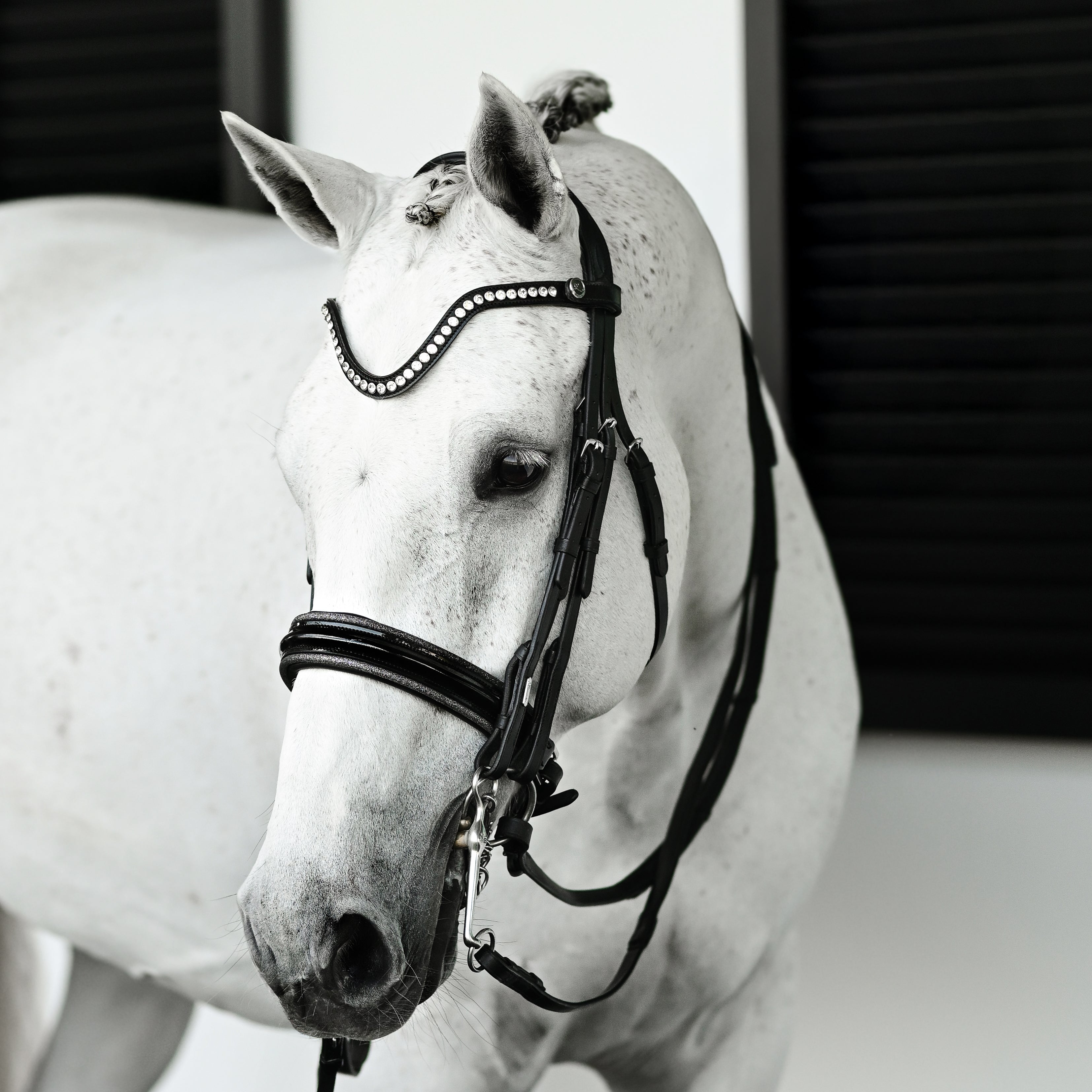 Saphira Bridle (double) - Lumiere Equestrian