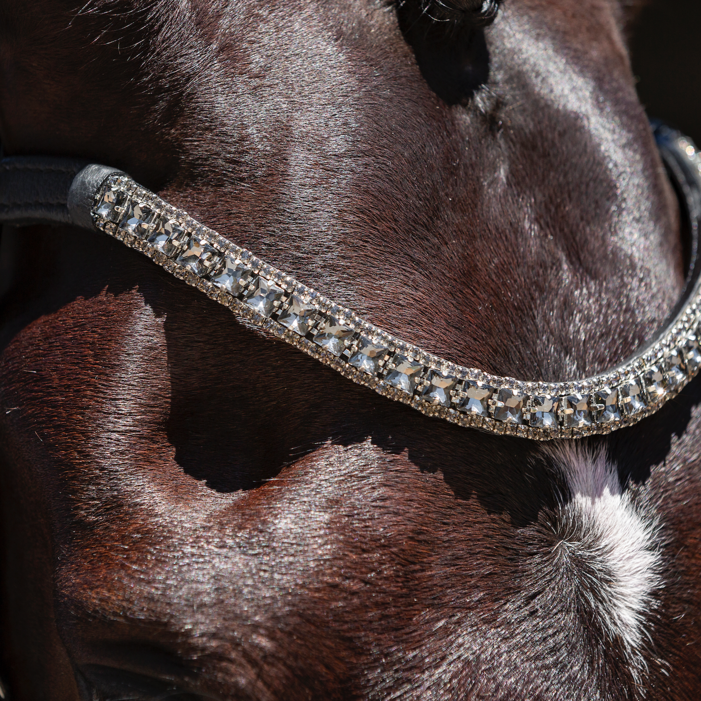 Storm Crystal Browband - Lumiere Equestrian